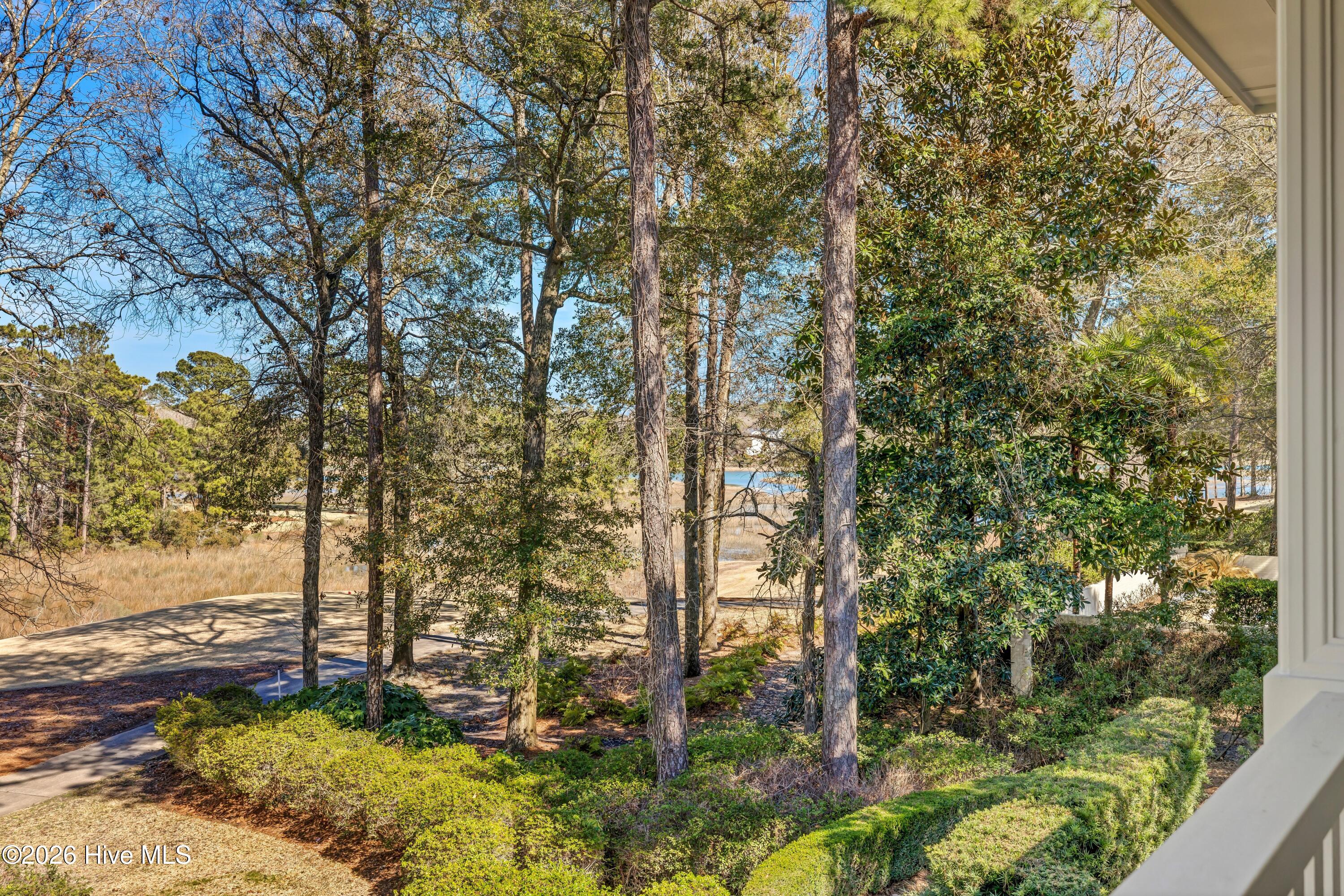 100556623 | Photo 39