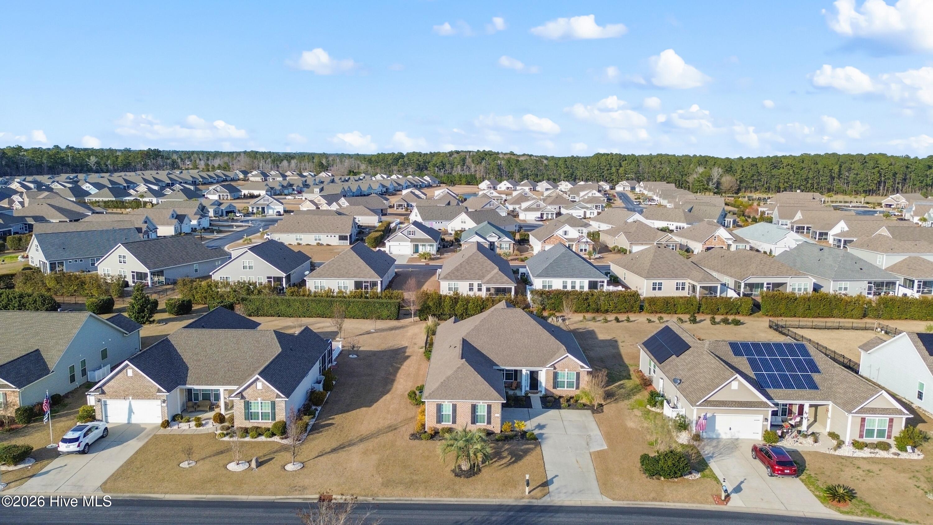 100553294 | Photo 36