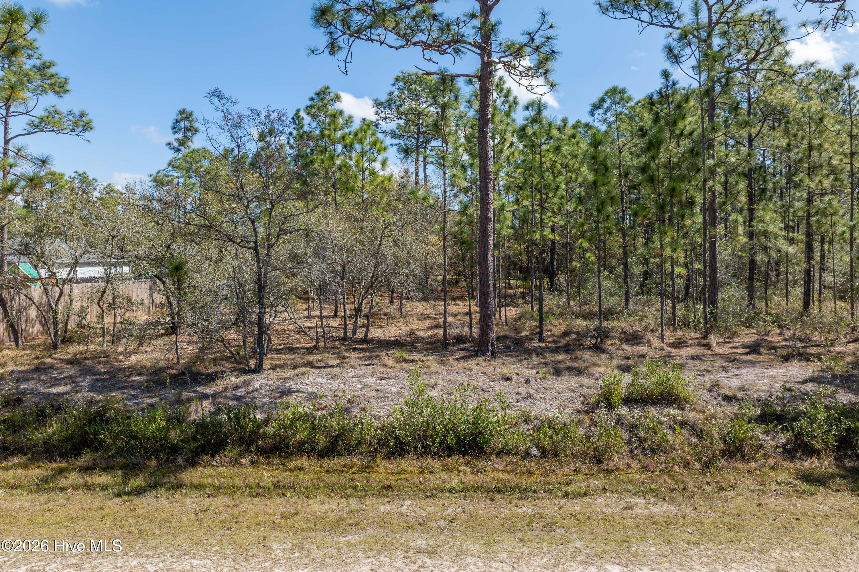 100563736 | Photo 18