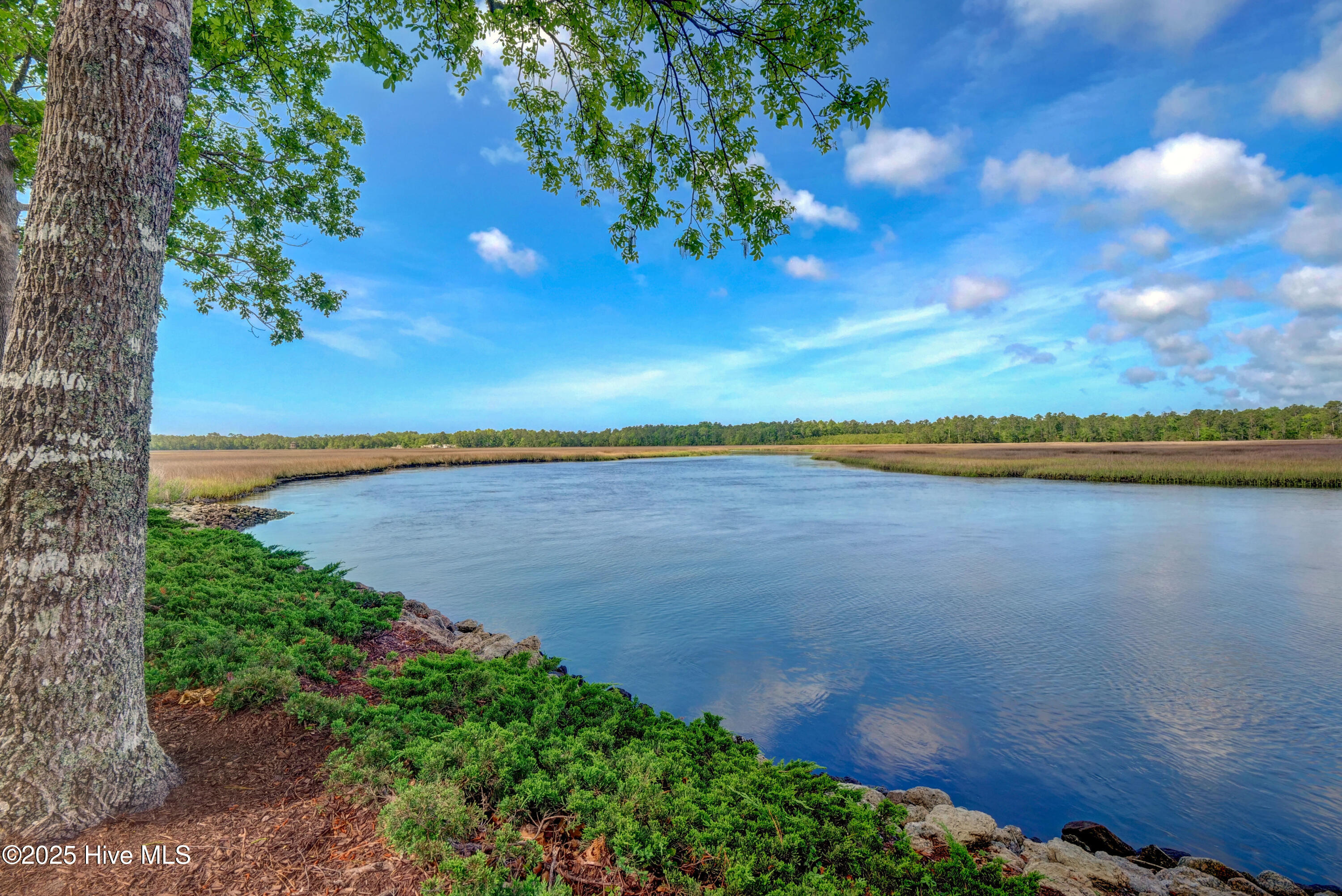 100506076 | Photo 70