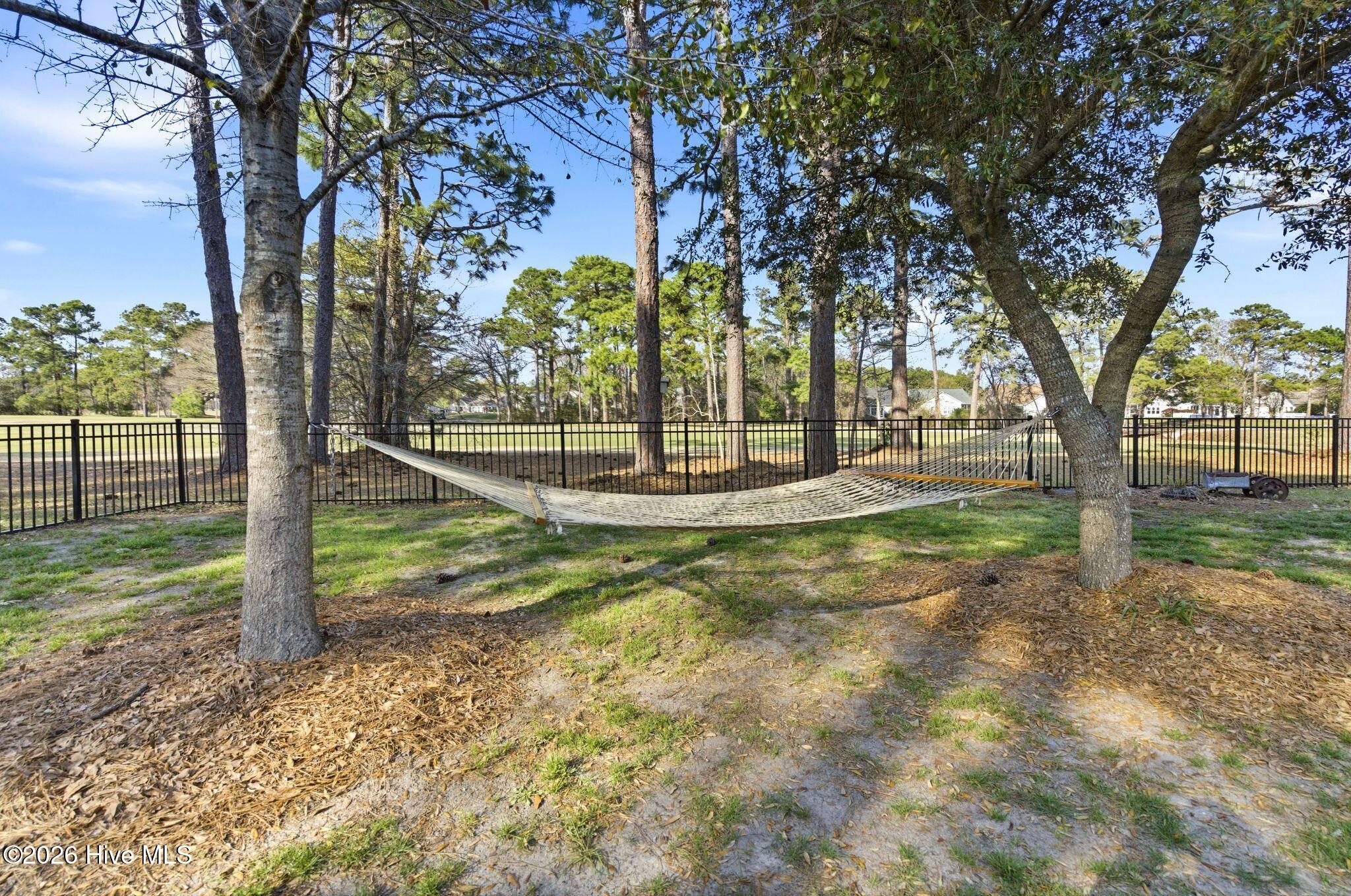 100564498 | Photo 45