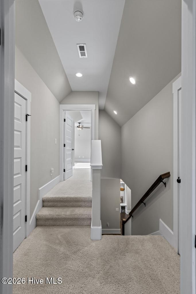 100558898 | Photo 34