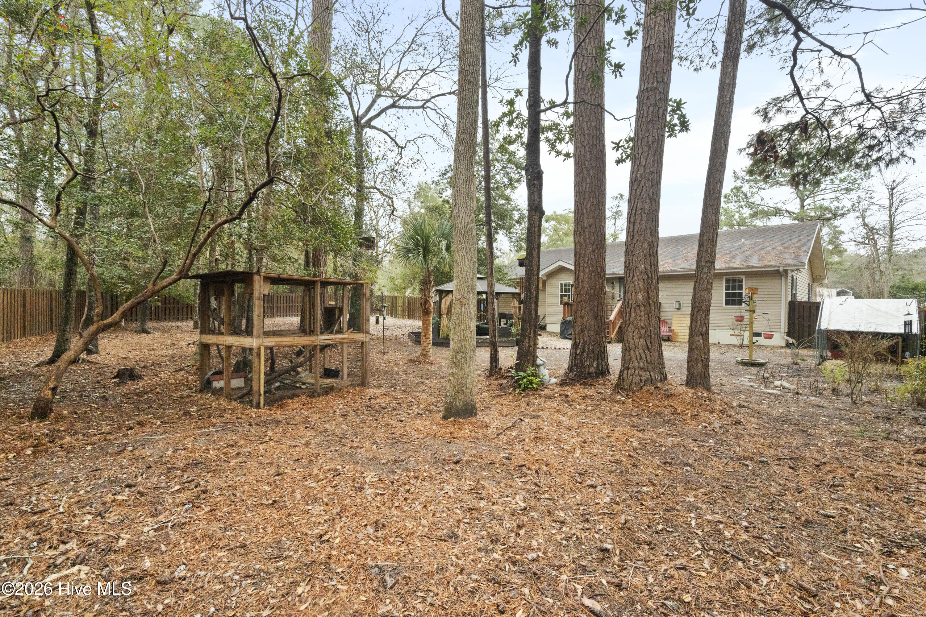 100551762 | Photo 37