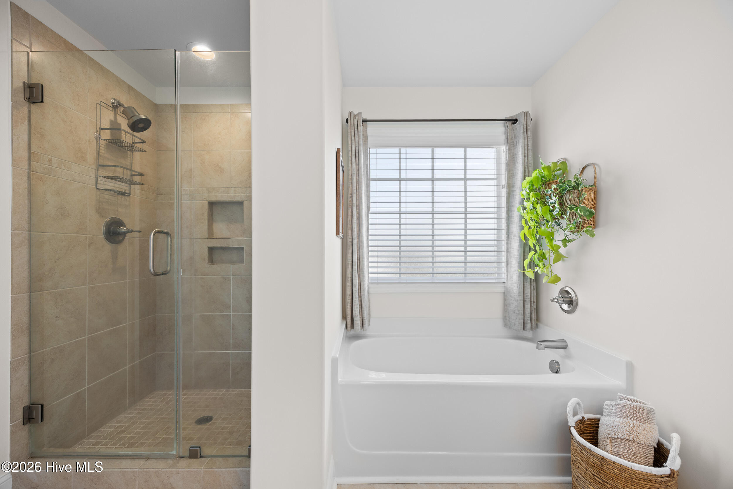 100555397 | Photo 37