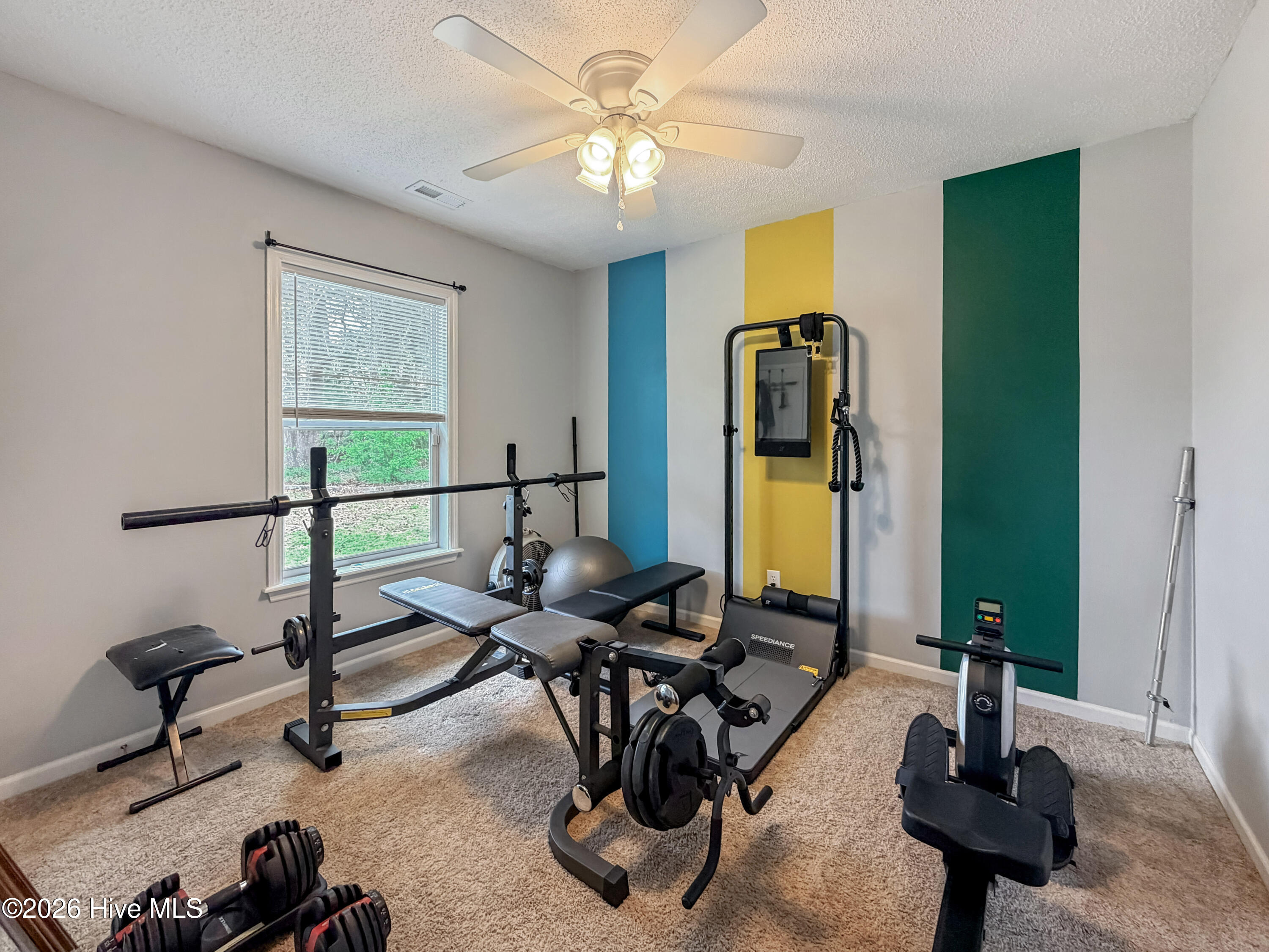 100564725 | Photo 24