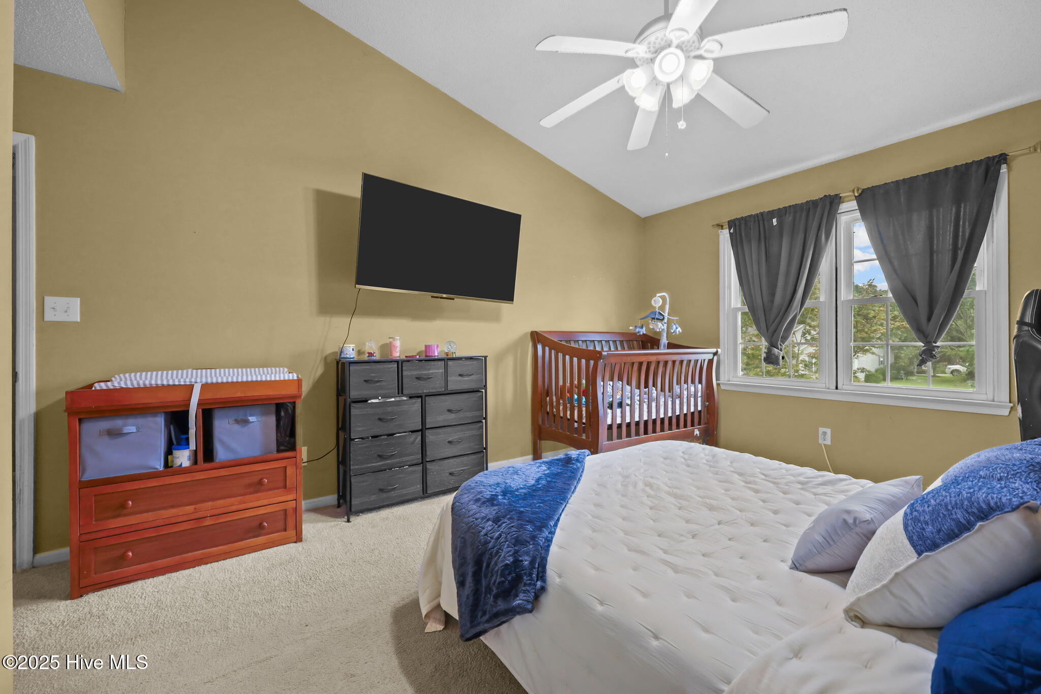 100546083 | Photo 11