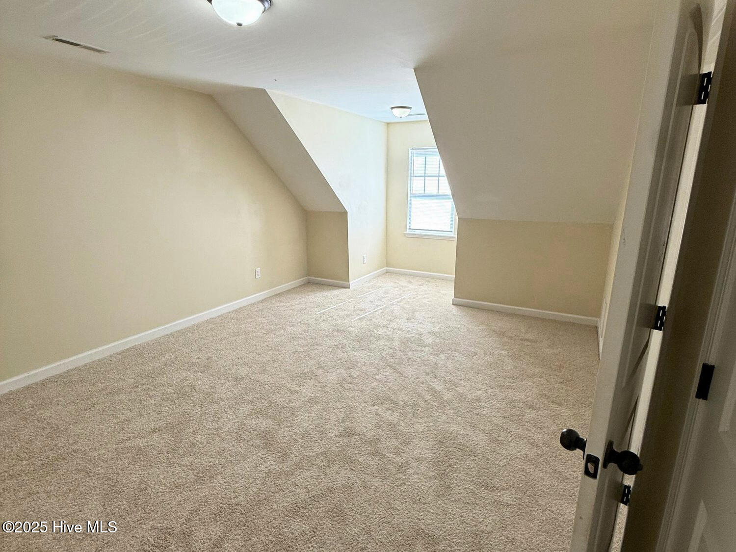 100542063 | Photo 15