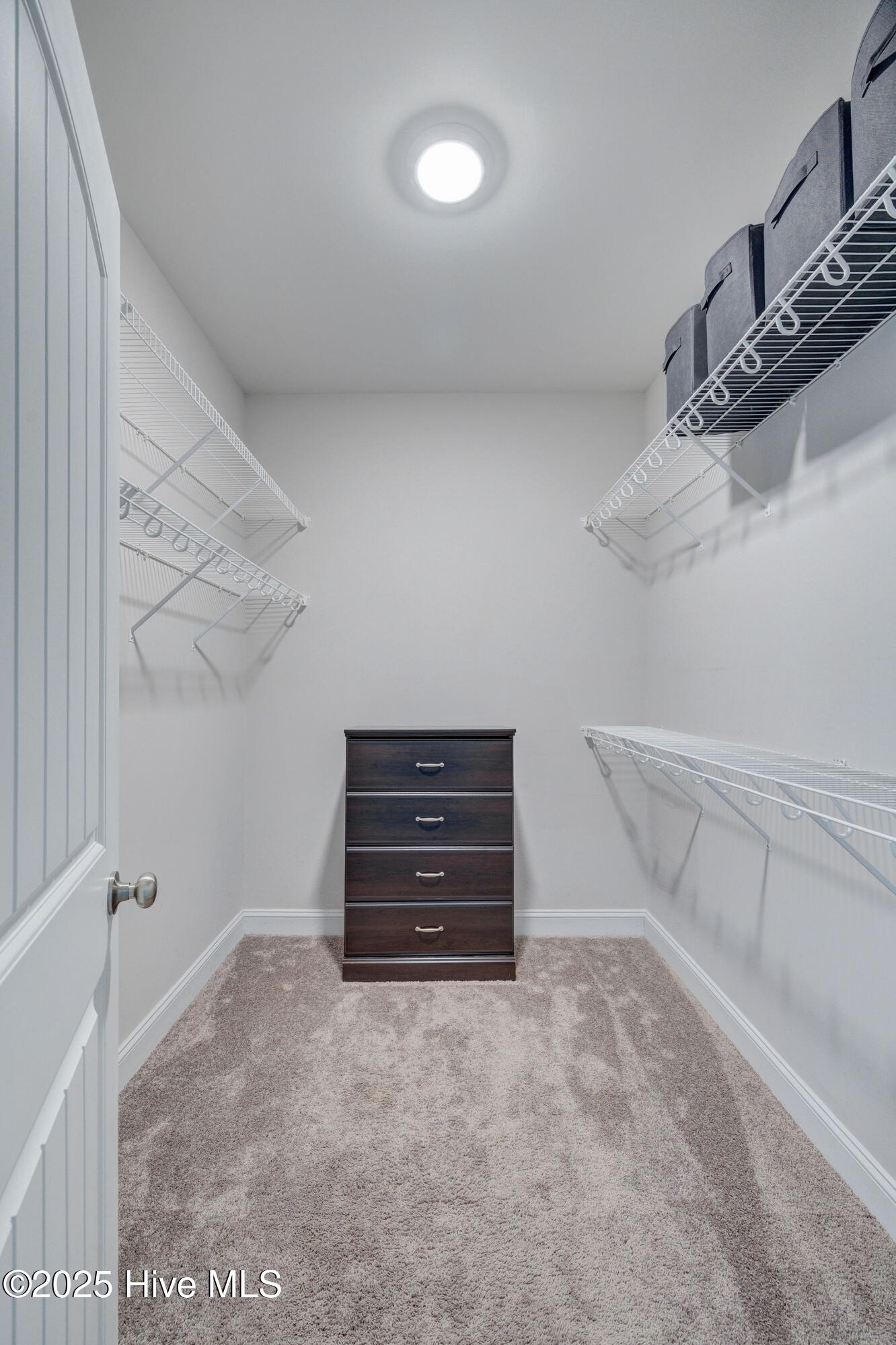 100522244 | Photo 32