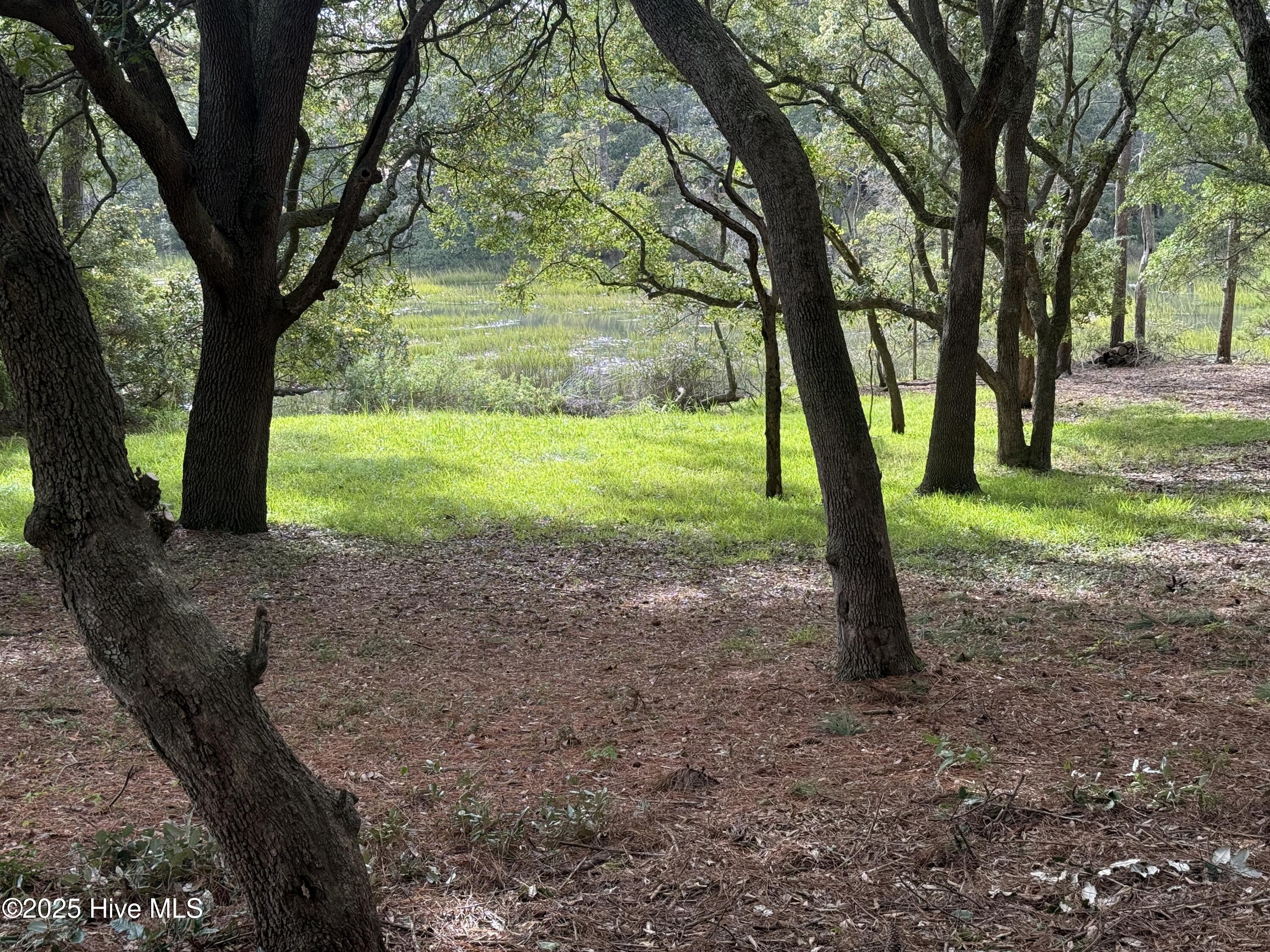 100537718 | Photo 10