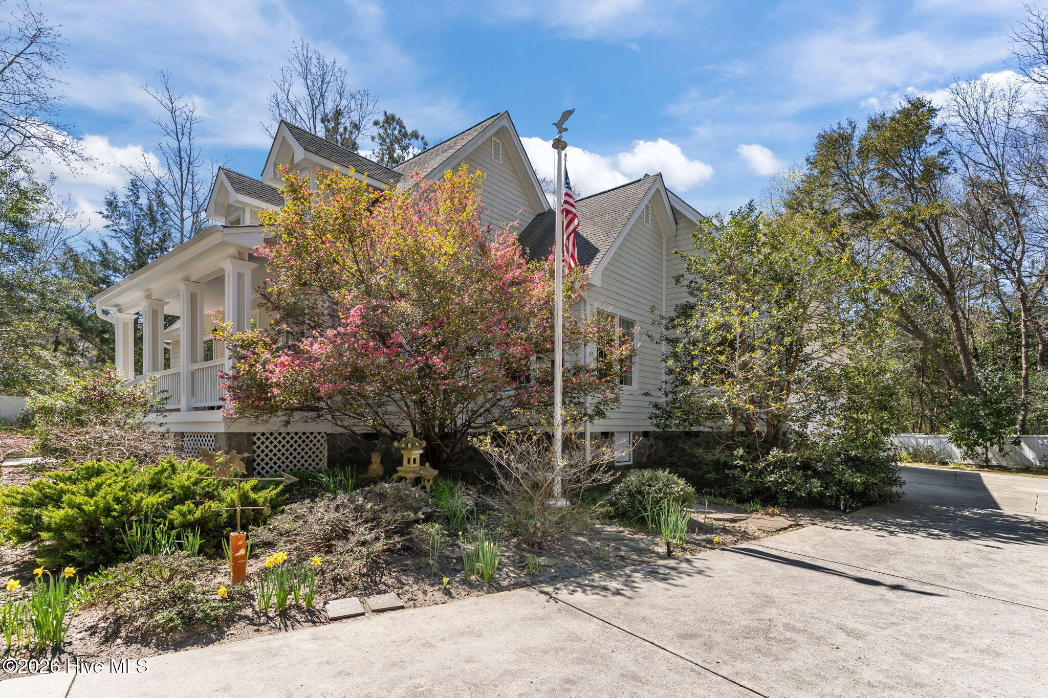 100562124 | Photo 50