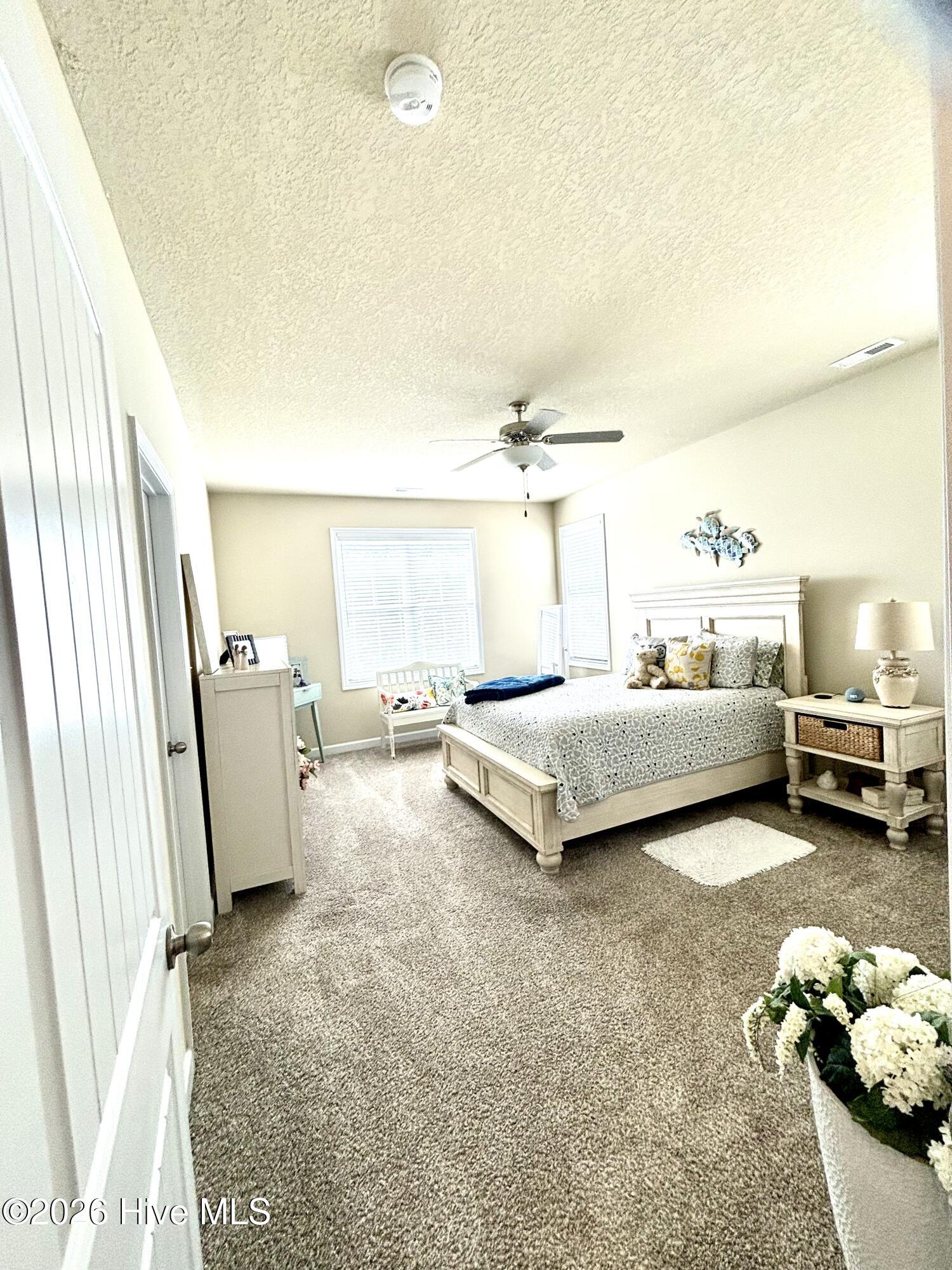 100560675 | Photo 12