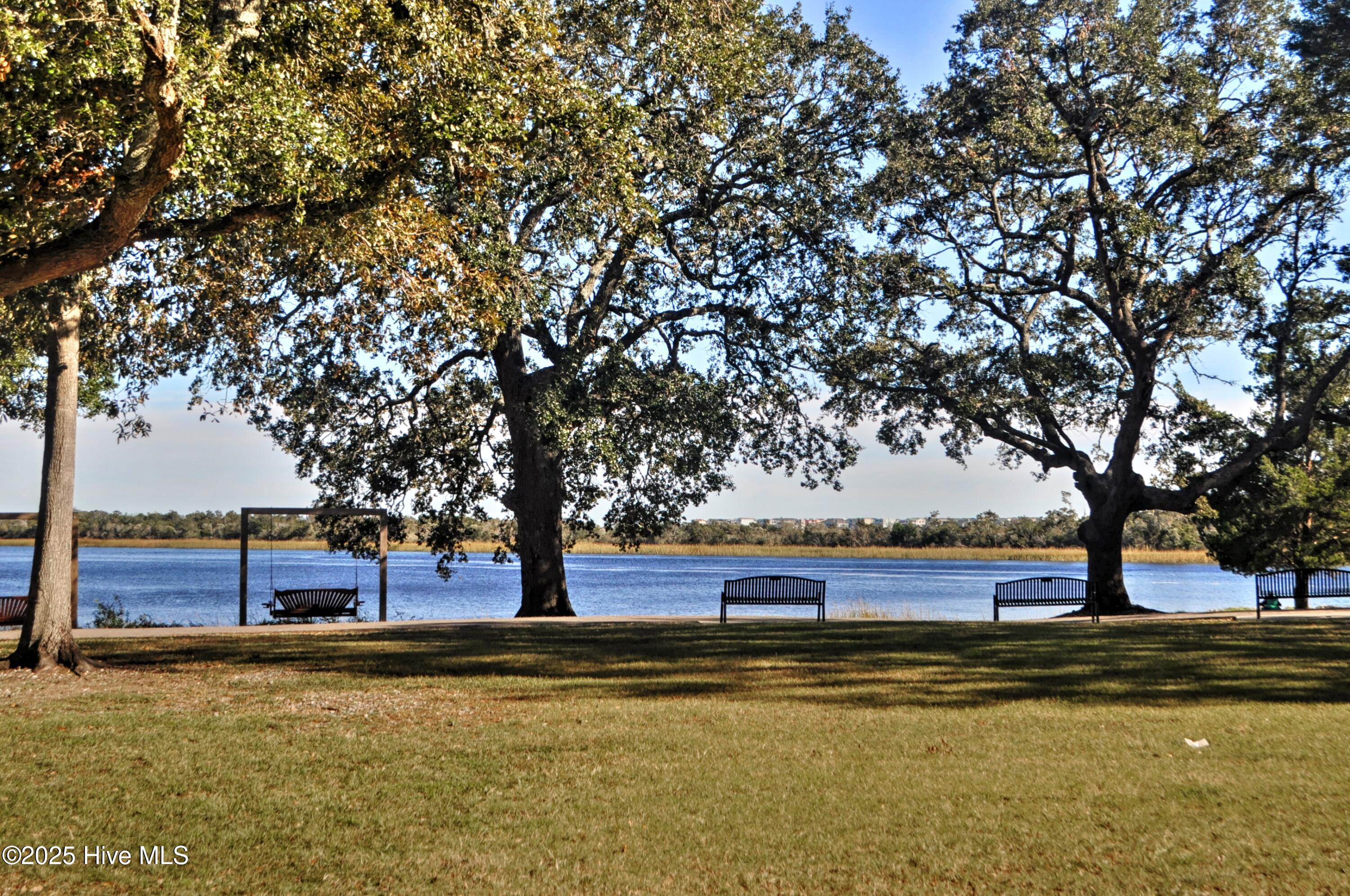 100526351 | Photo 42