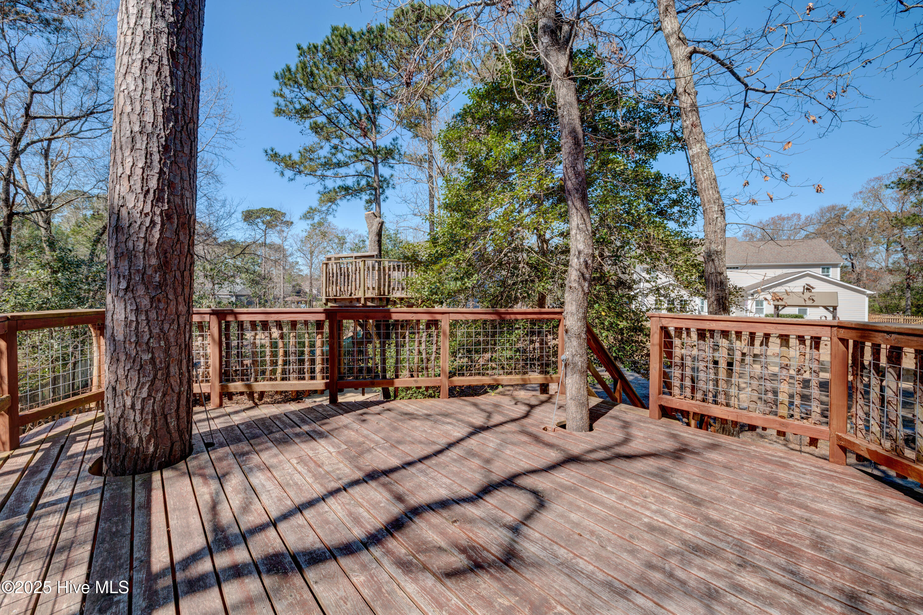 100496540 | Photo 78