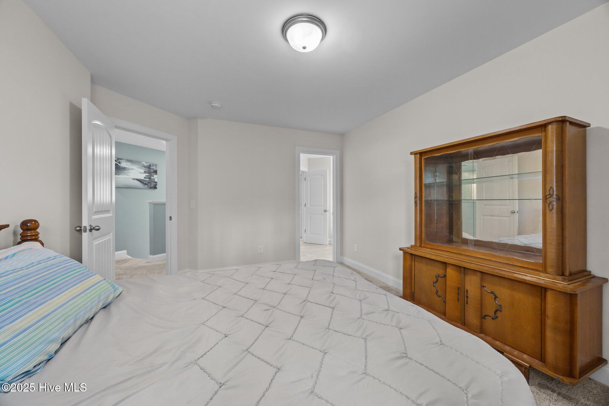 100518510 | Photo 36