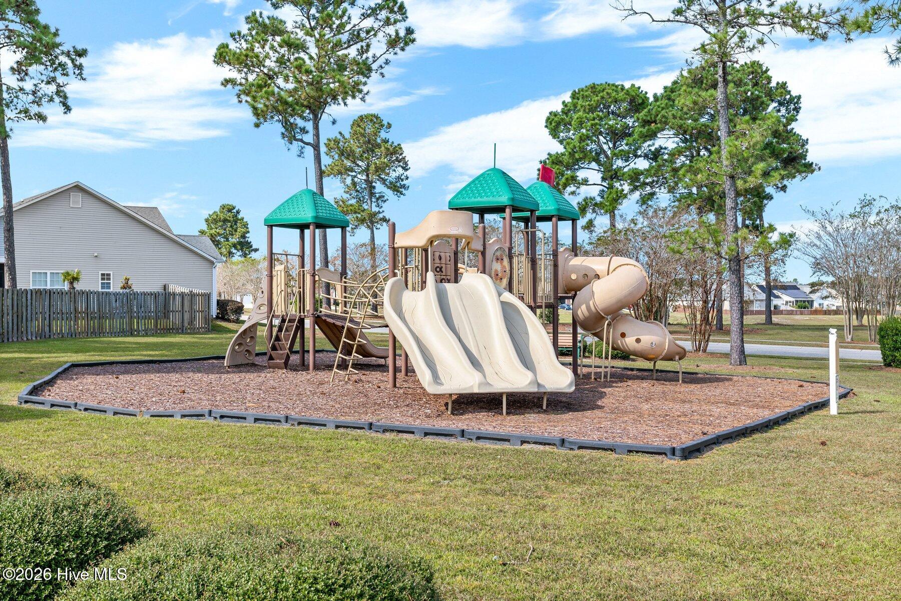 100557697 | Photo 24