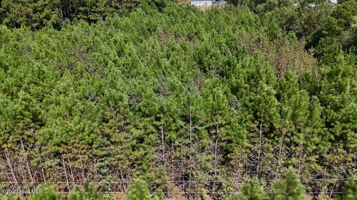 100531803 | Photo 22