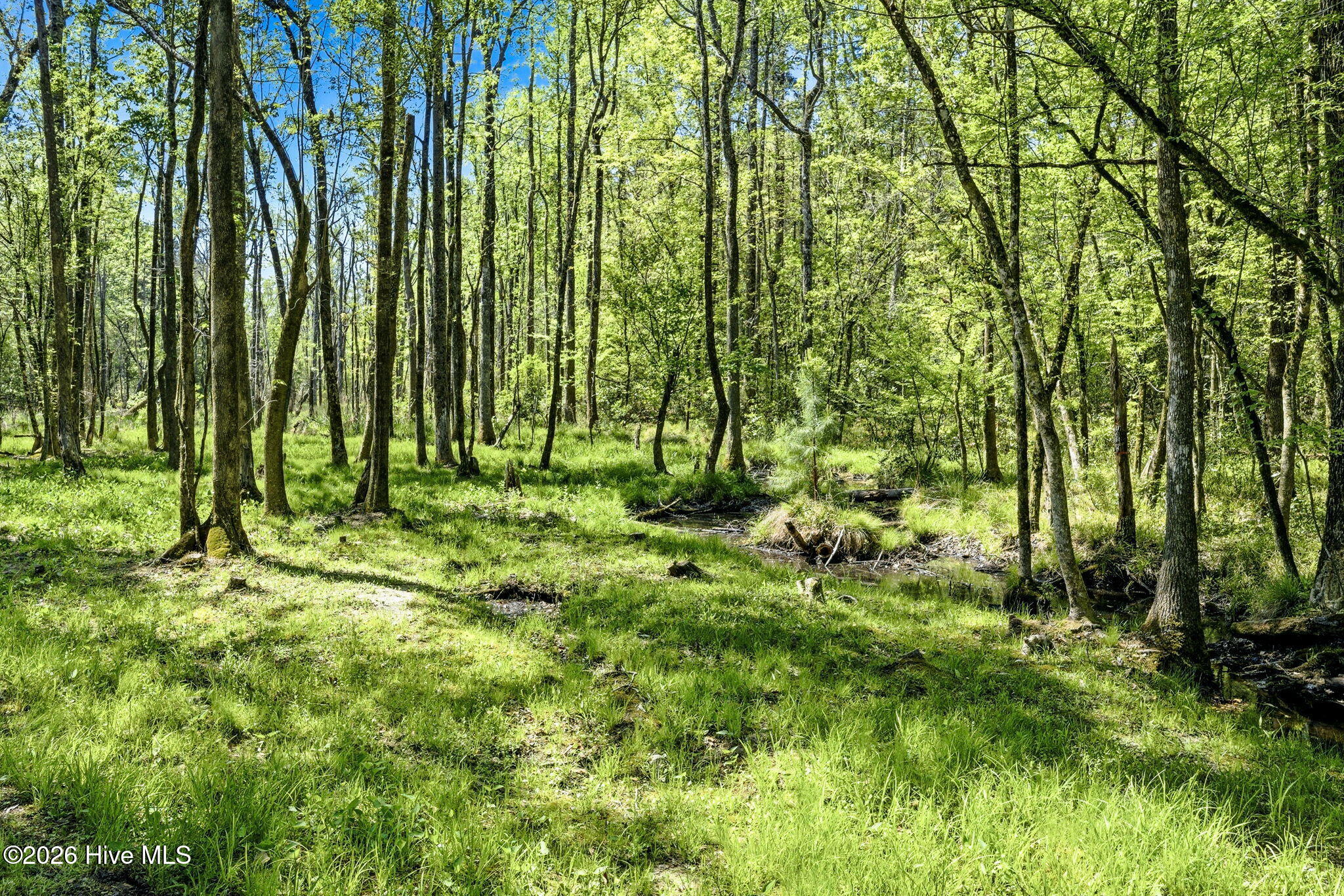 375 & 383 Wolfridge Road NE, Leland, NC, 28451