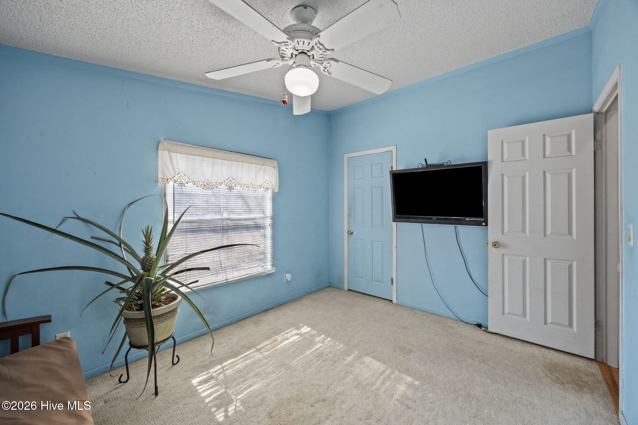 100554674 | Photo 28