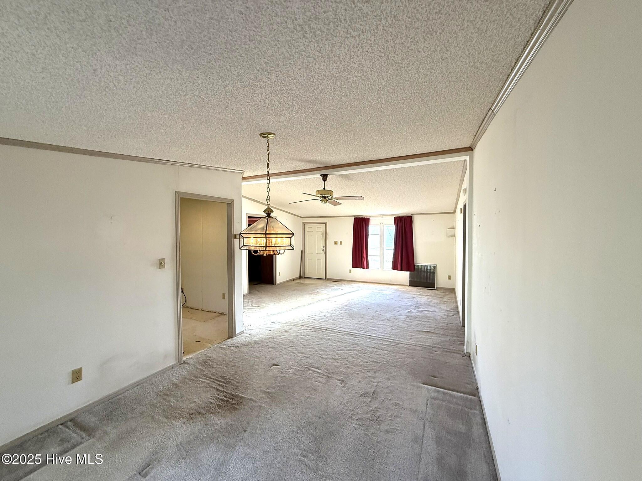 100543819 | Photo 12