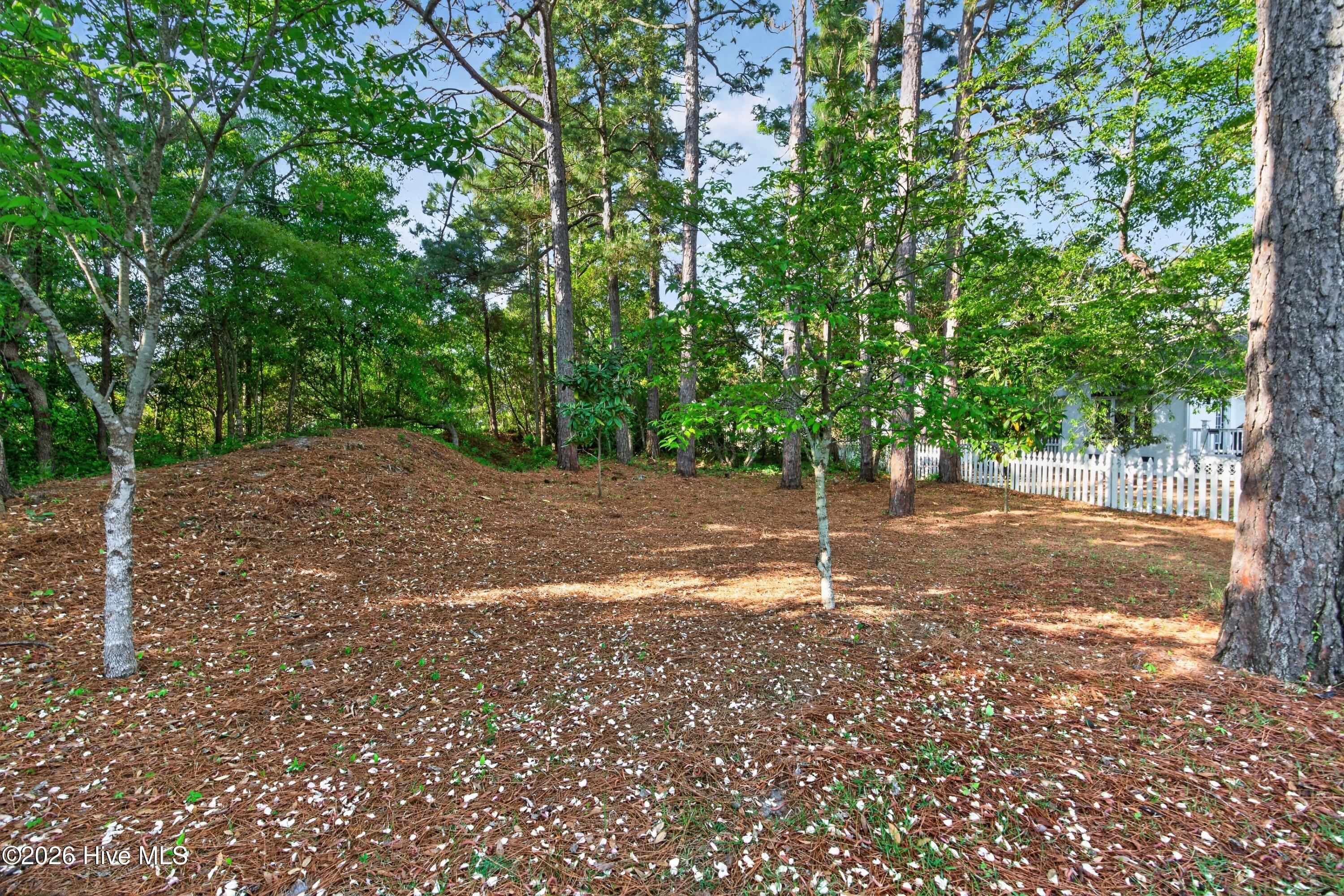 100567726 | Photo 39