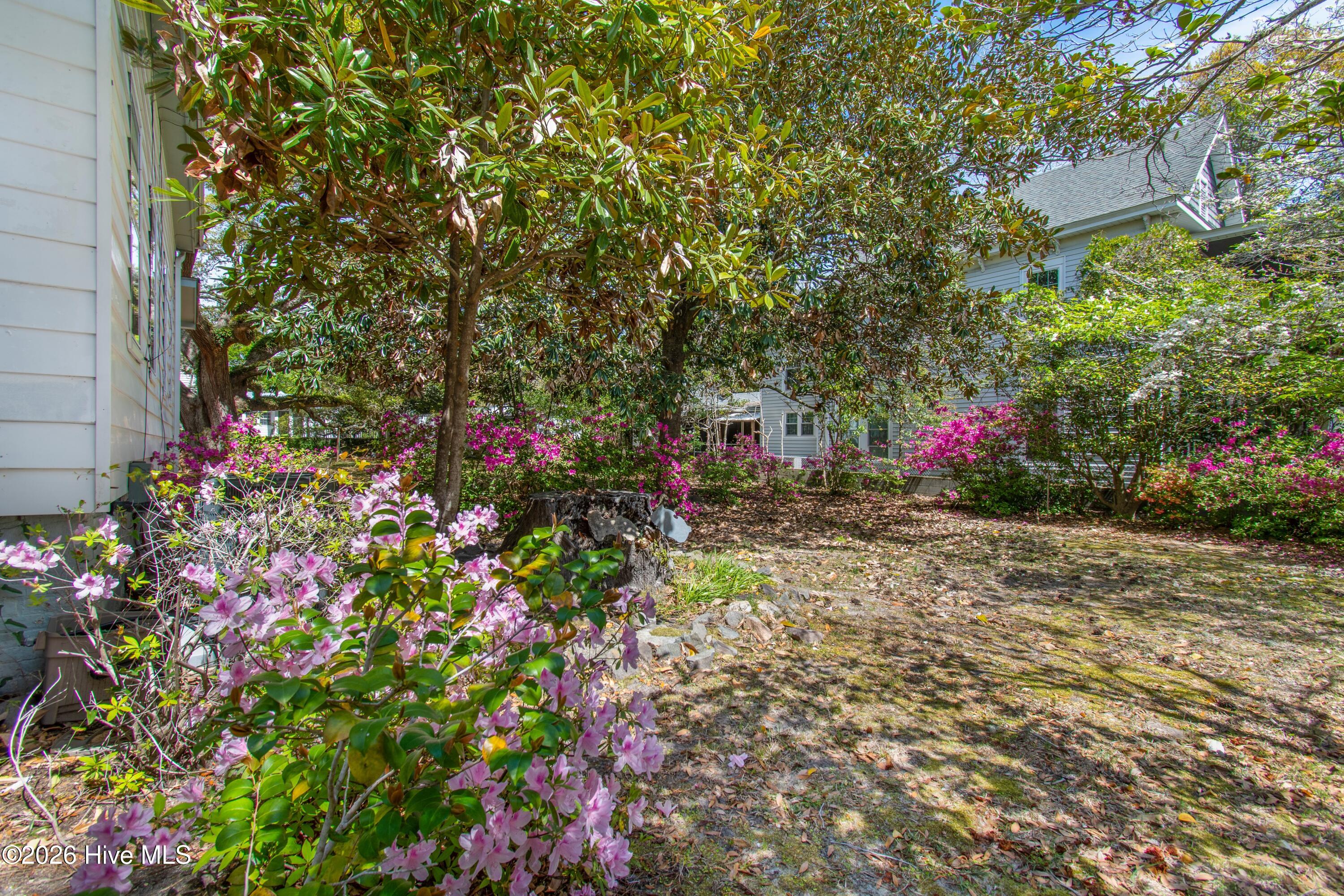 100566206 | Photo 66