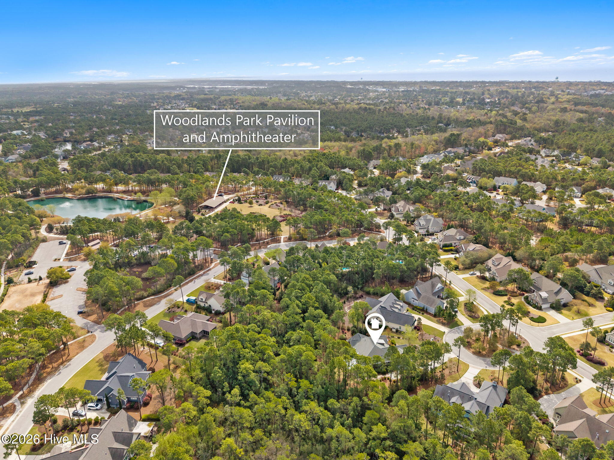 100566382 | Photo 51