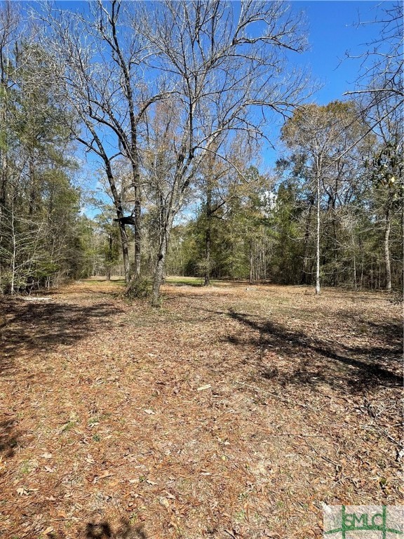 0 FISH Road, Newington, GA, 30446