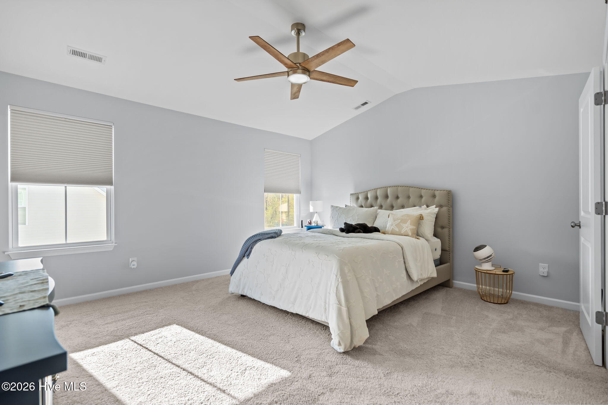 100562246 | Photo 29