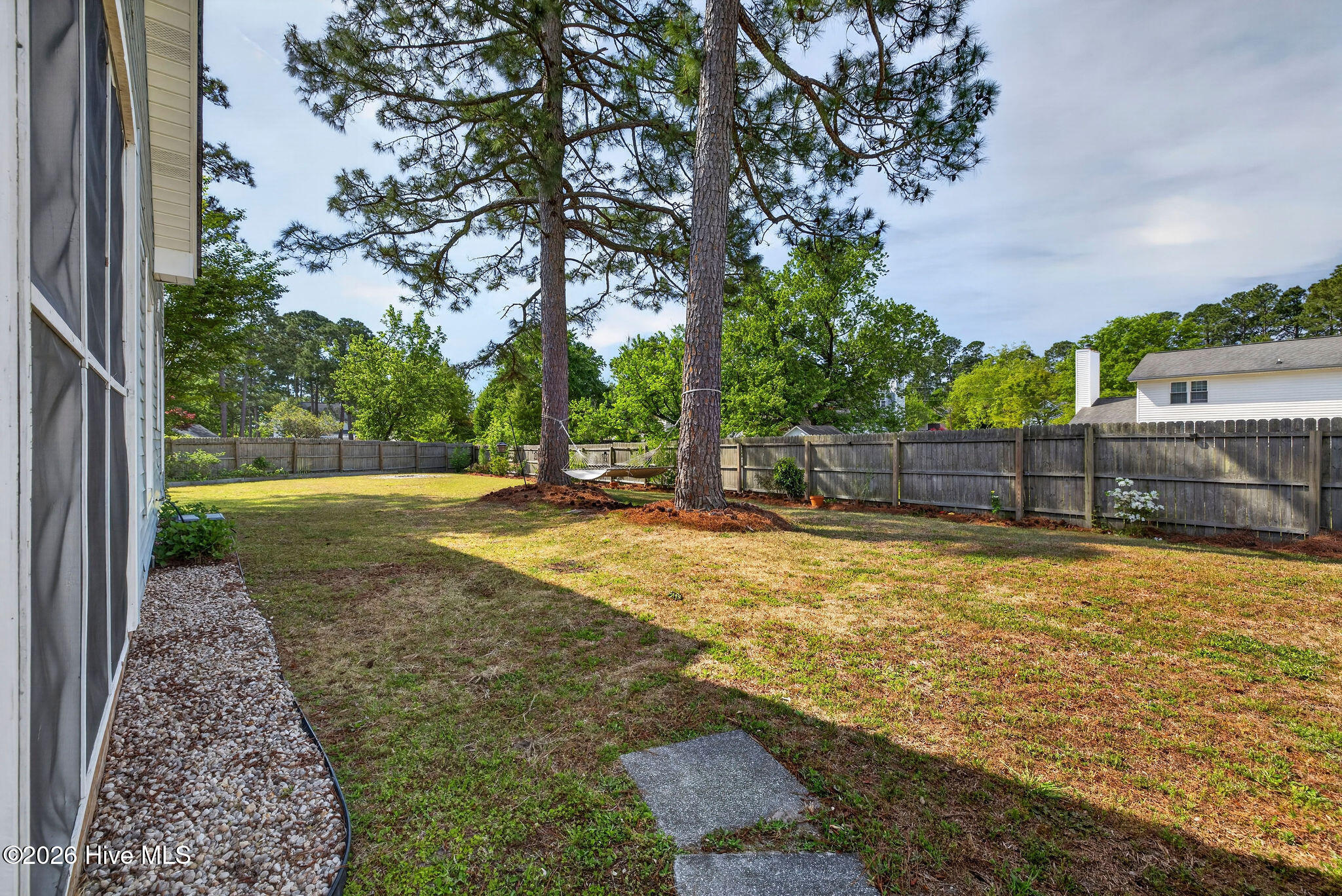 100567707 | Photo 12