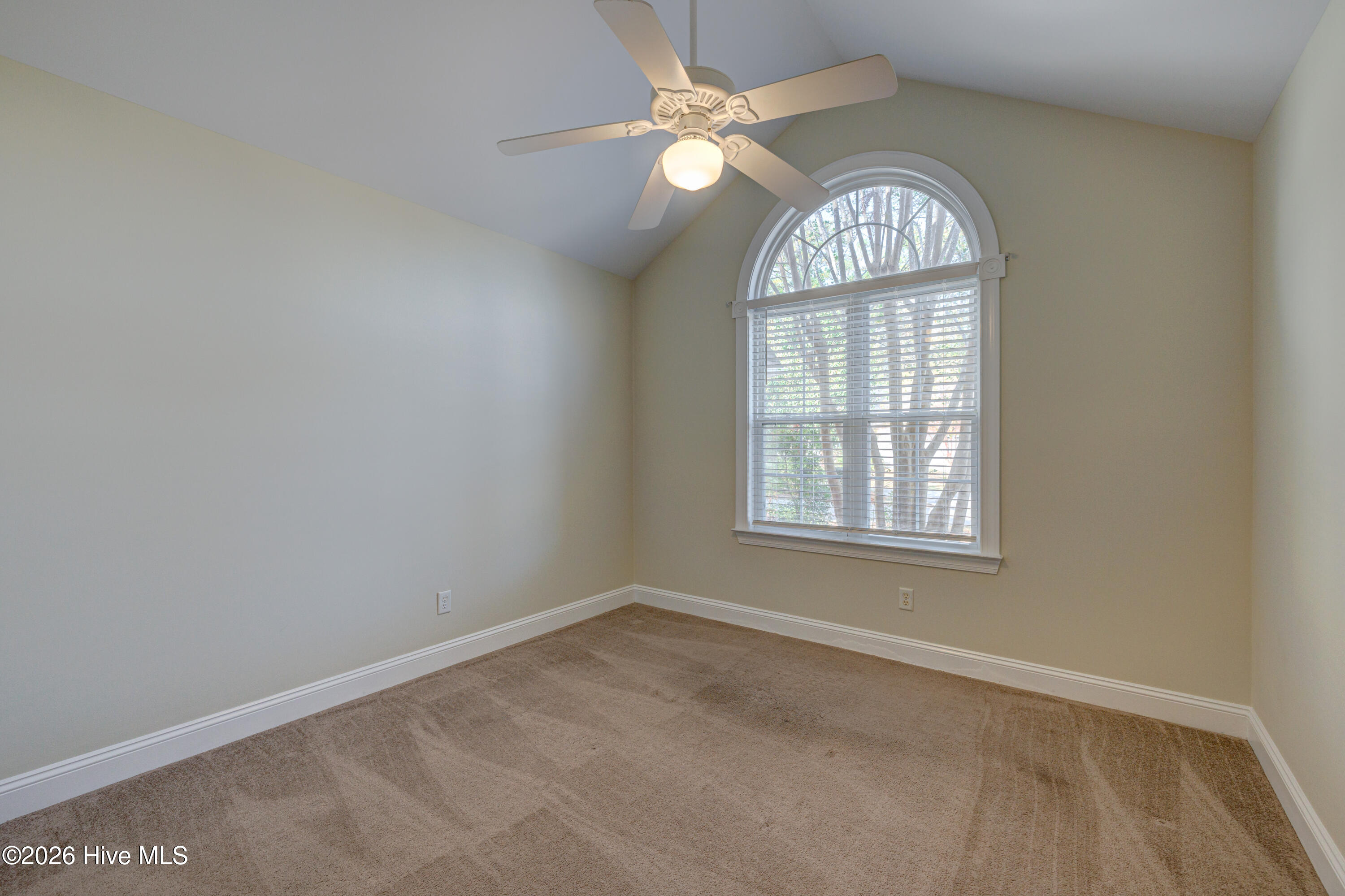 100549406 | Photo 11