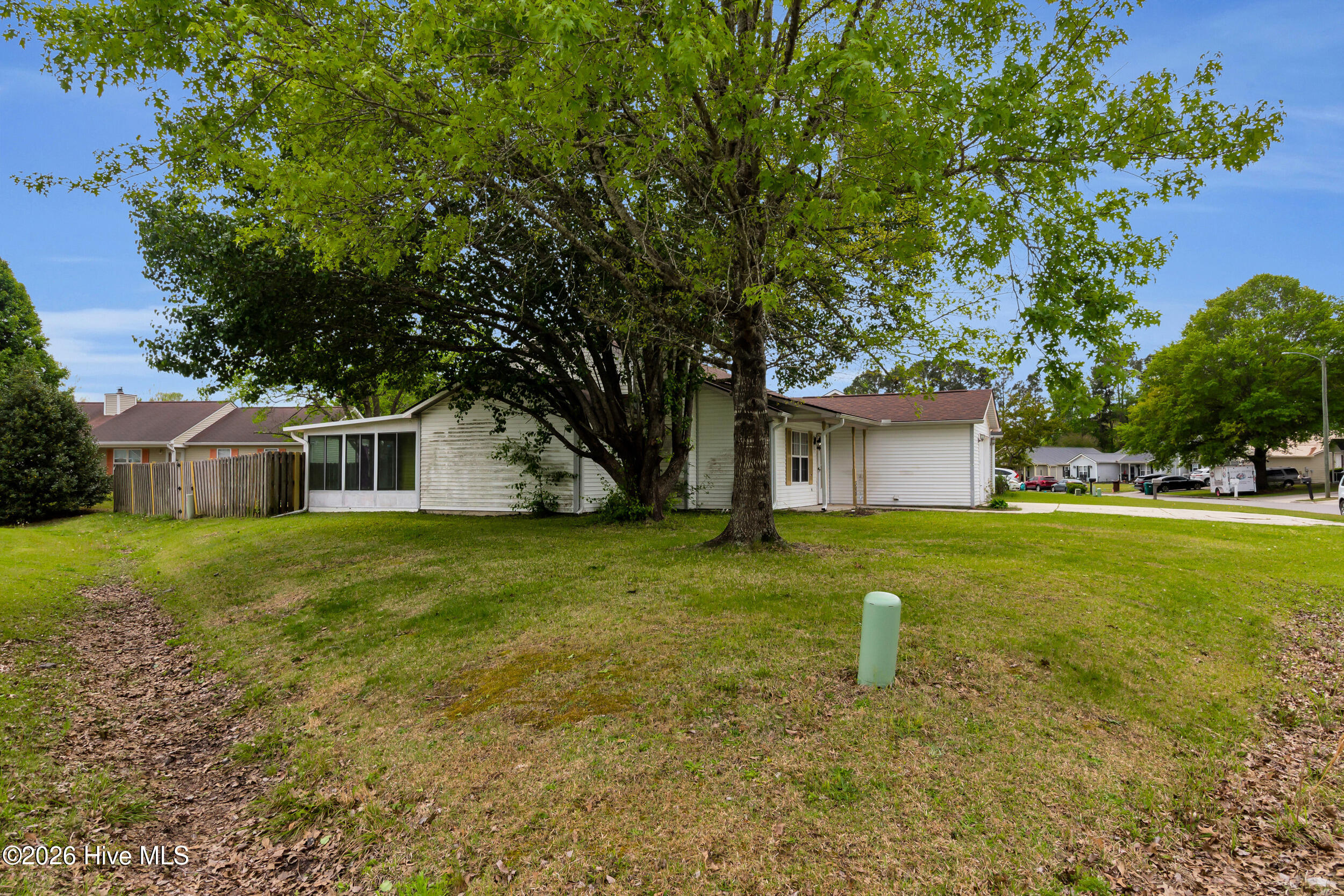 100565936 | Photo 18