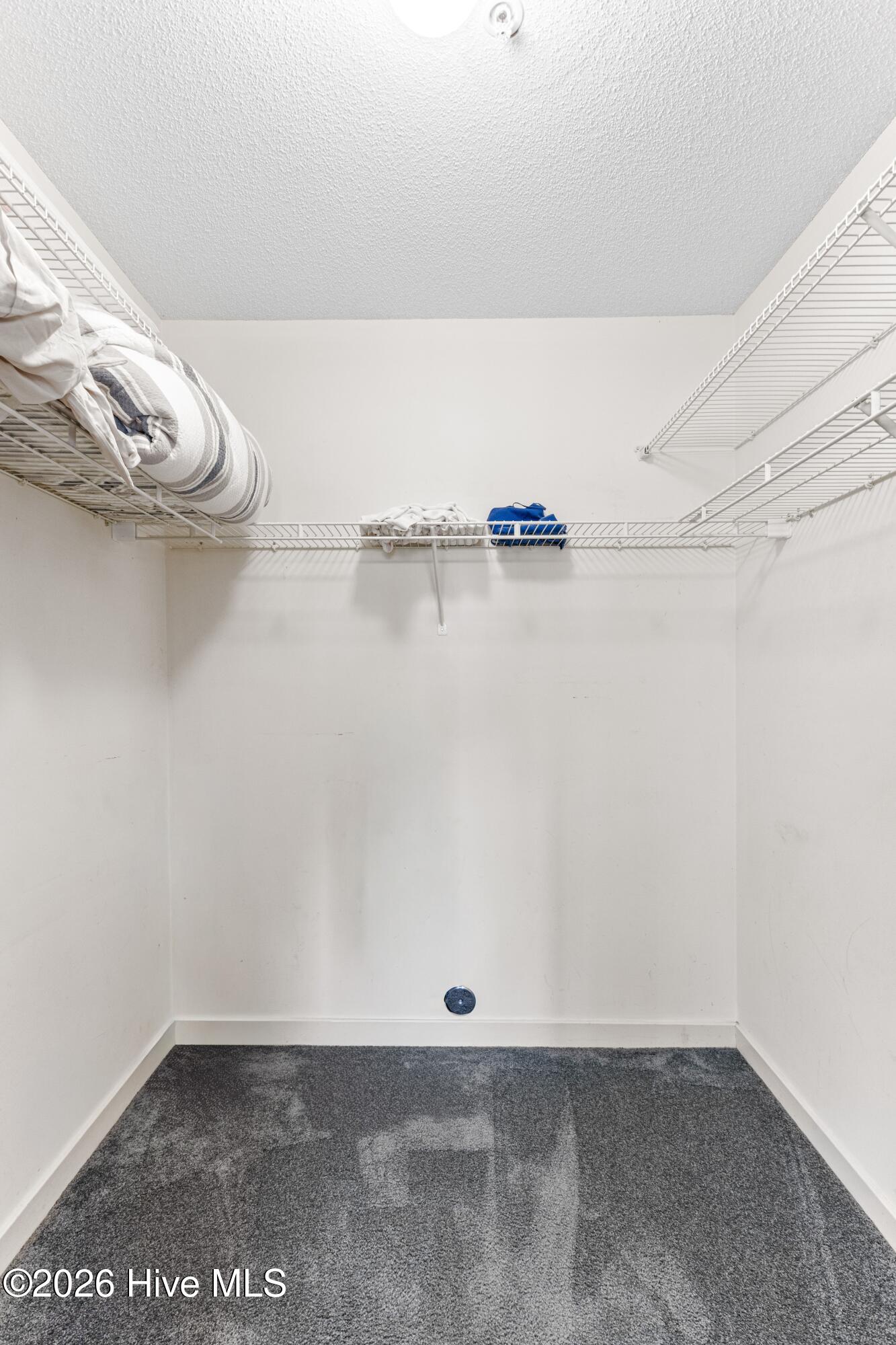 100549677 | Photo 26