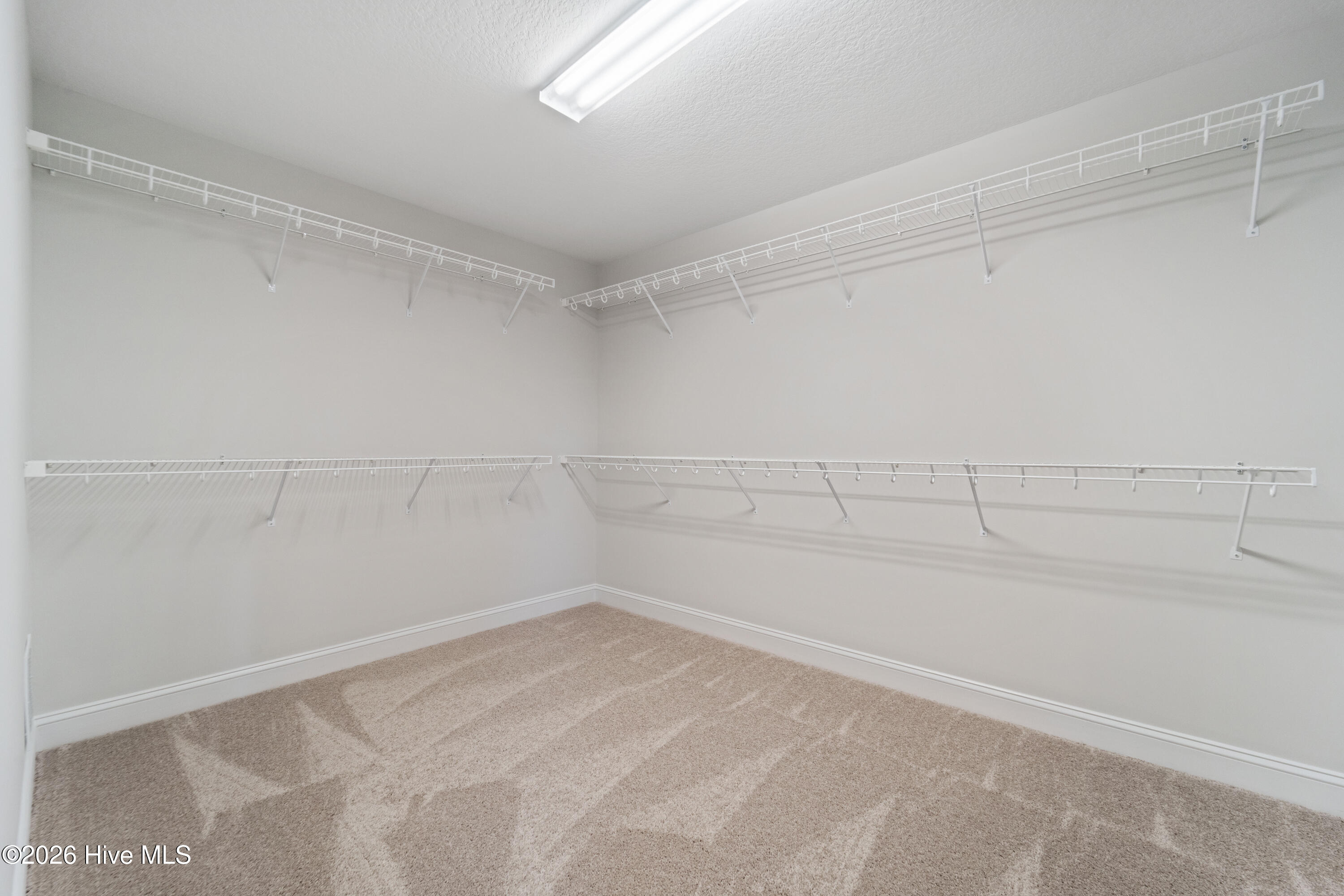 100523680 | Photo 21