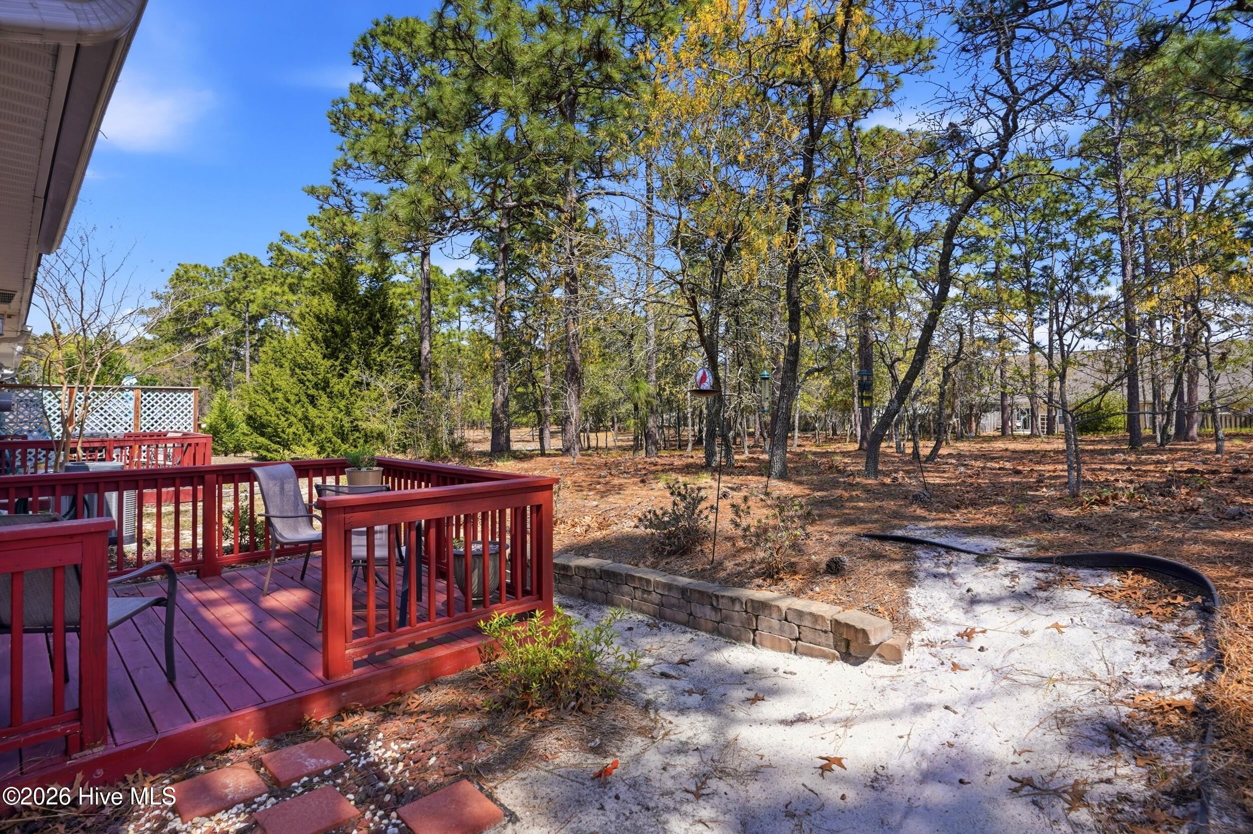 100565868 | Photo 25