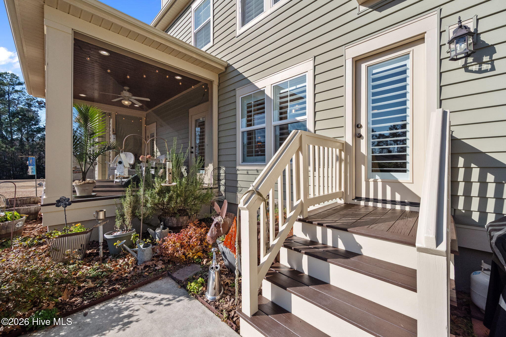 100546497 | Photo 12