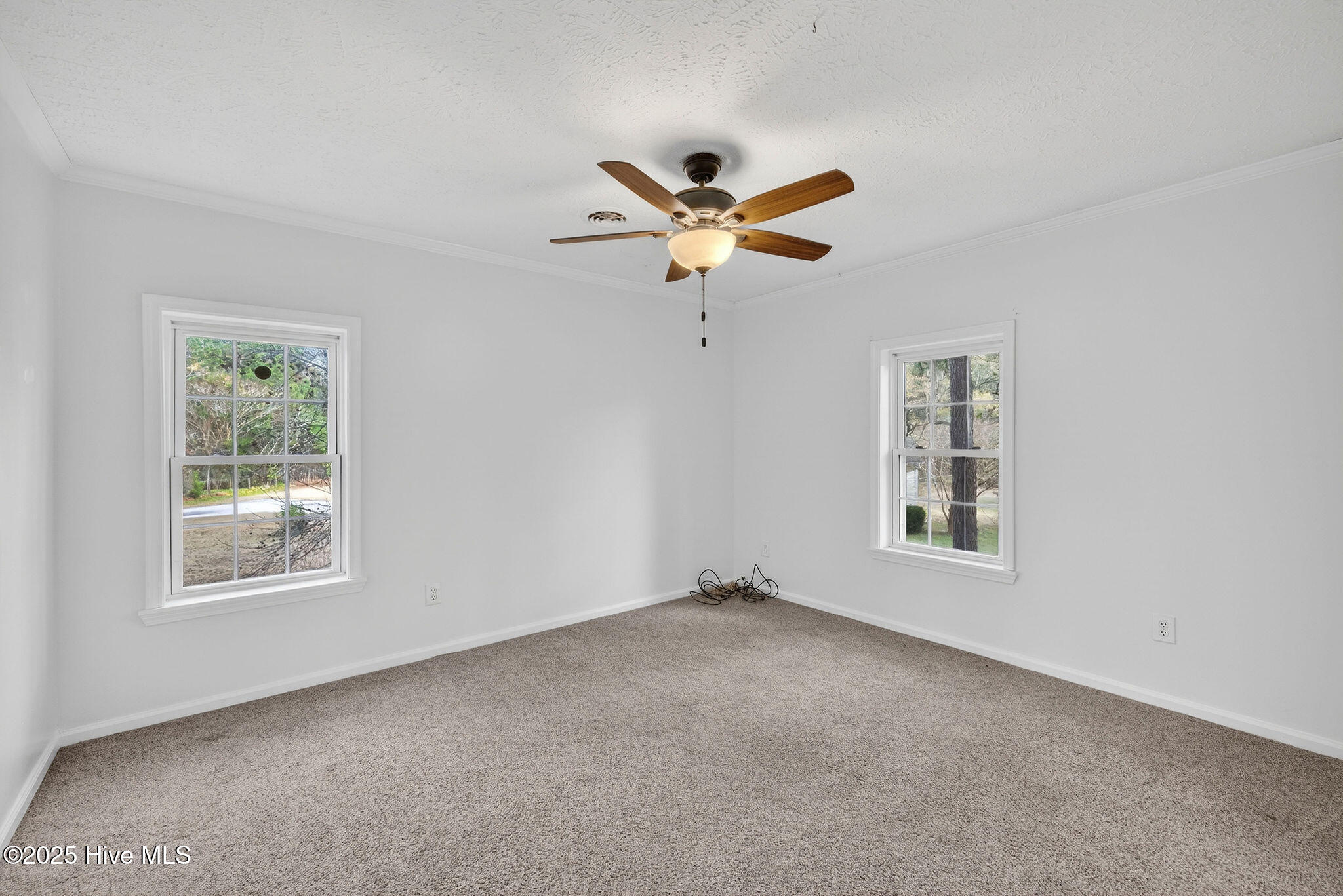 100546222 | Photo 35