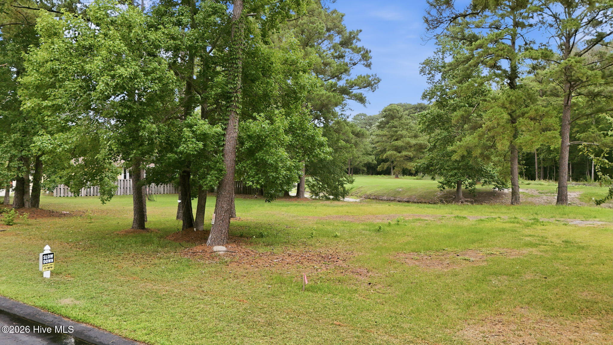 Shirley Johnson - MLS Number: 100583434