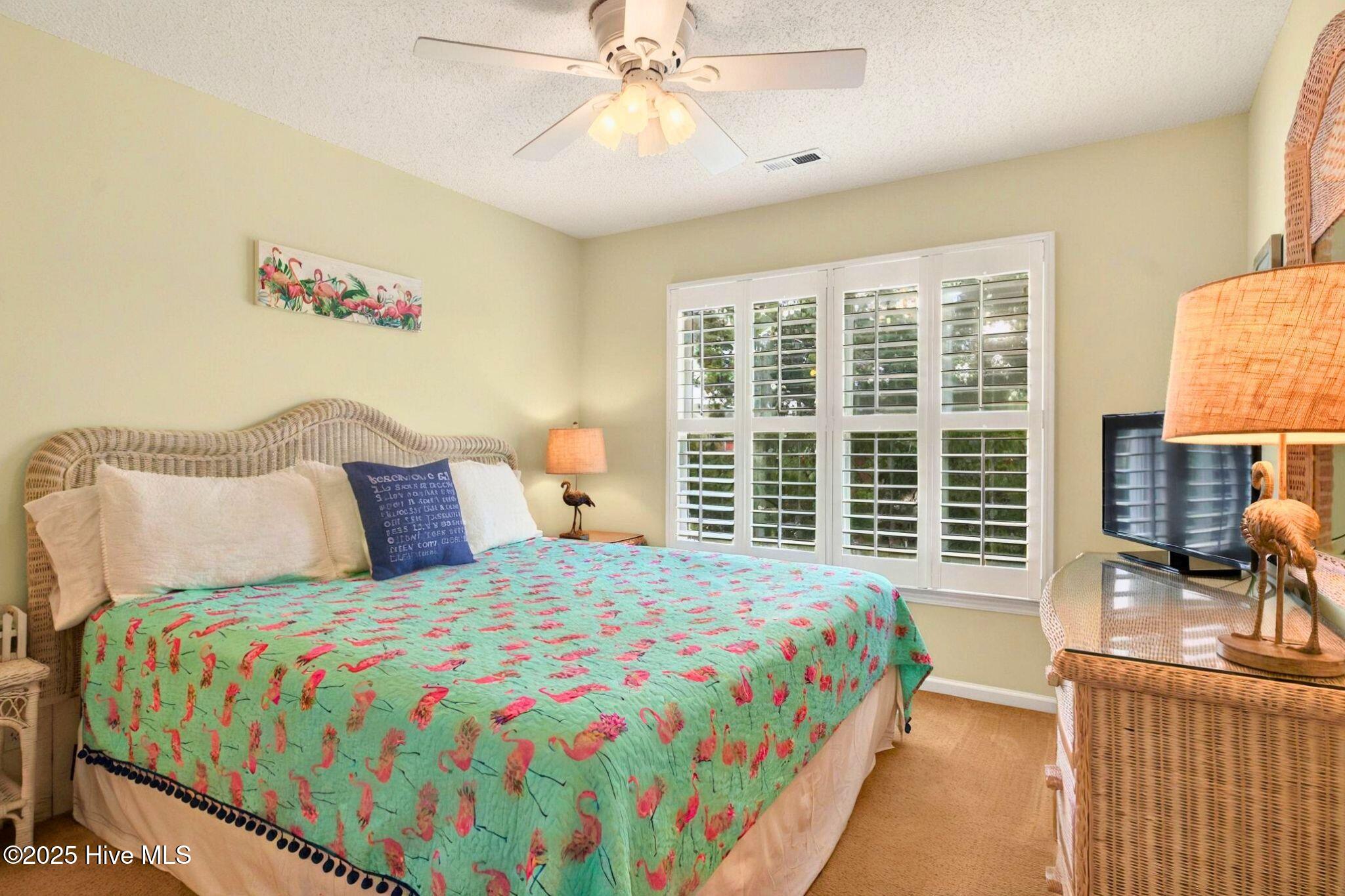 100508877 | Photo 29