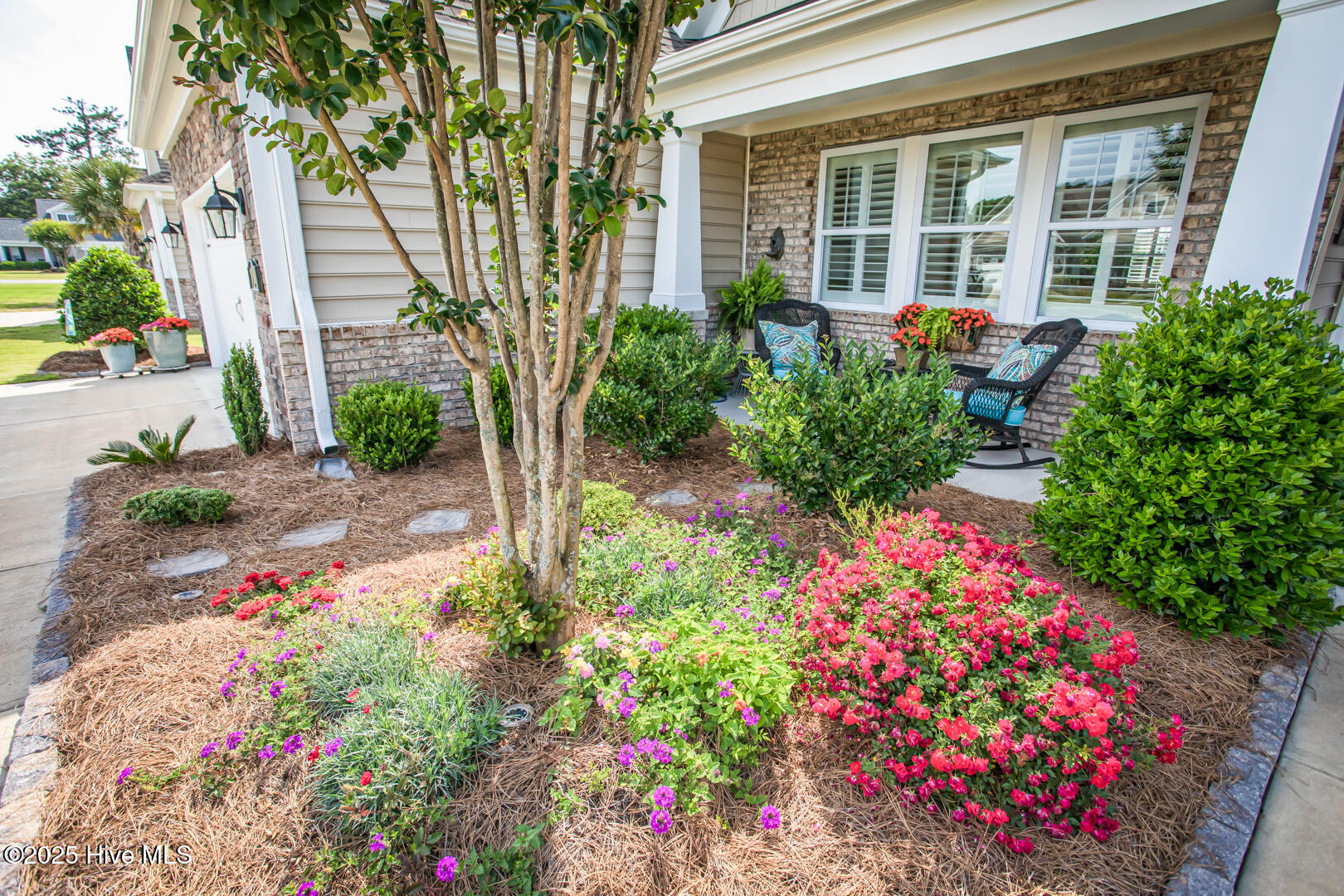 100546730 | Photo 41