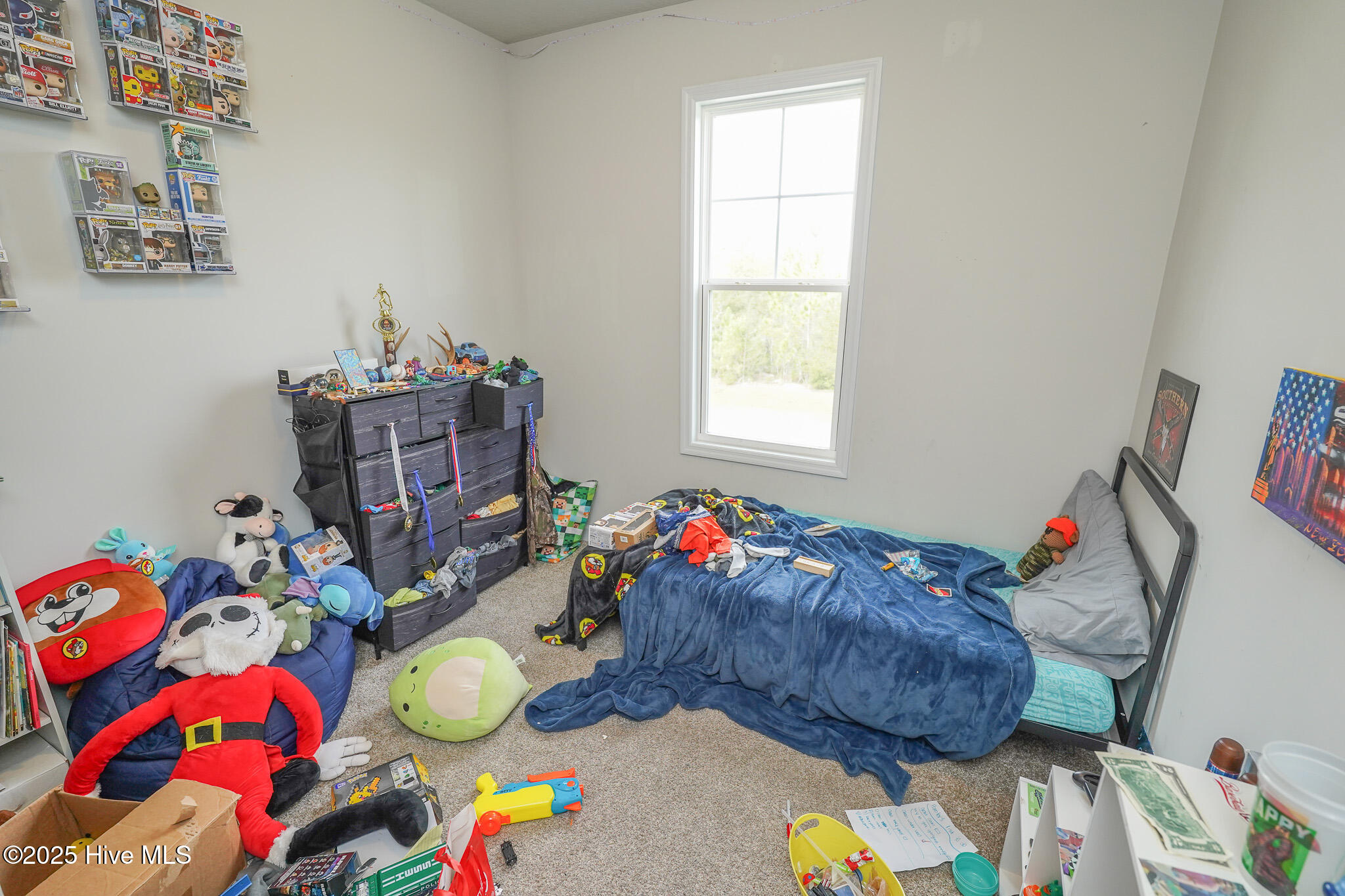 100538282 | Photo 17