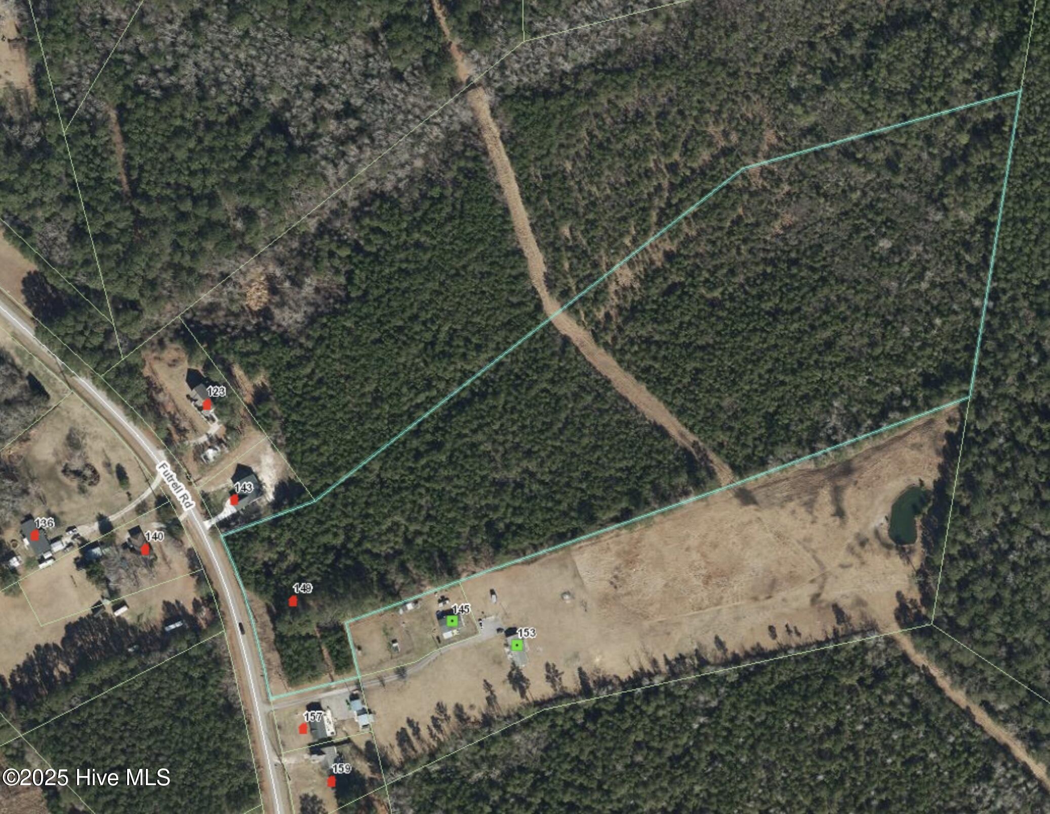 100516949 | Photo 19