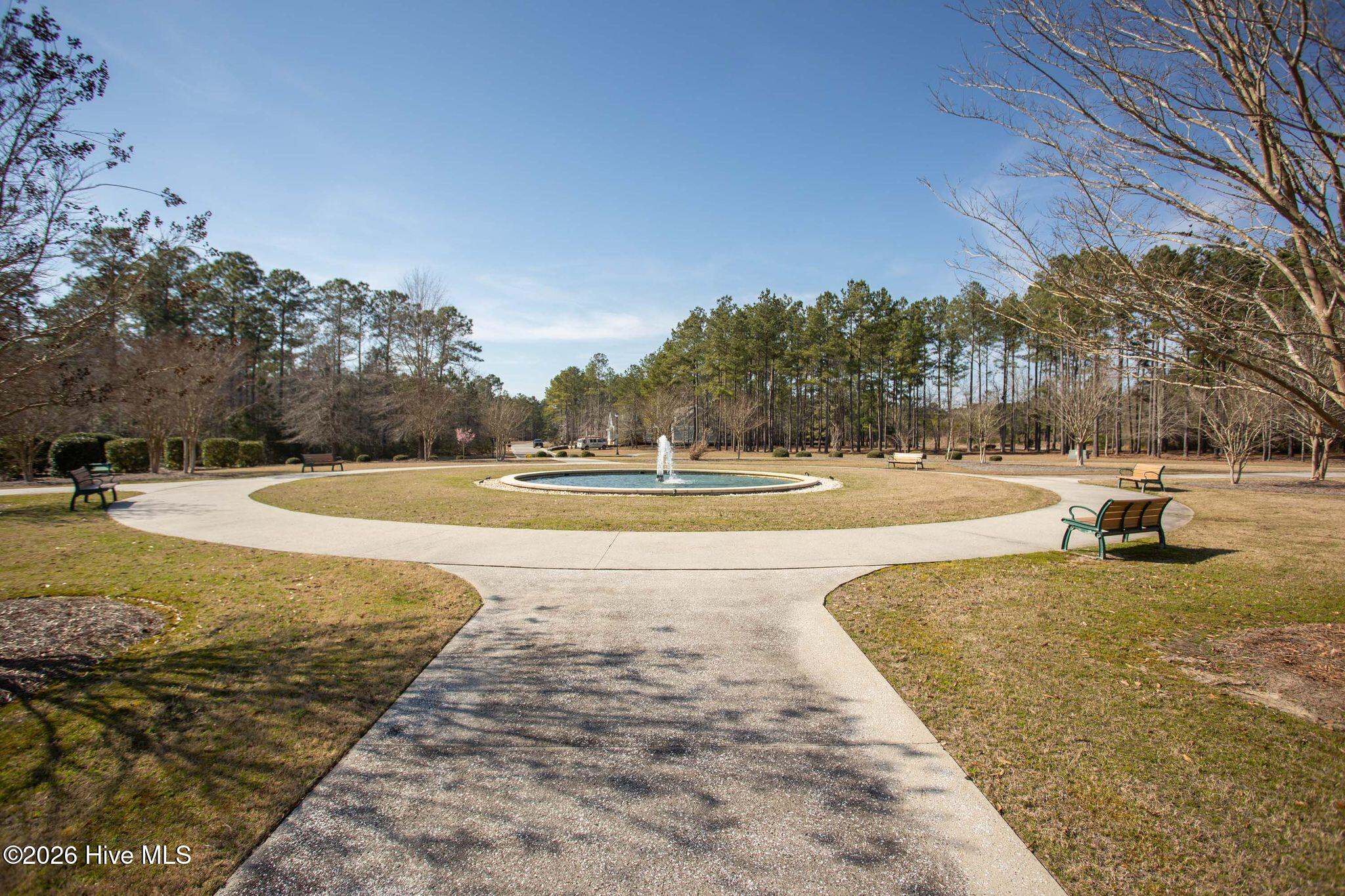 100560702 | Photo 85