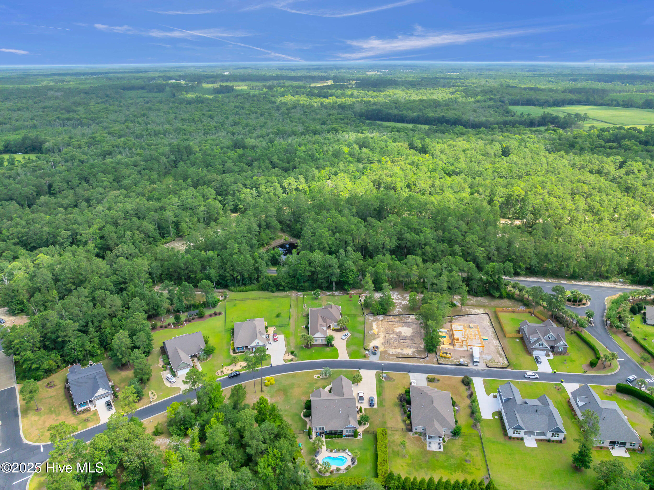 100517542 | Photo 57