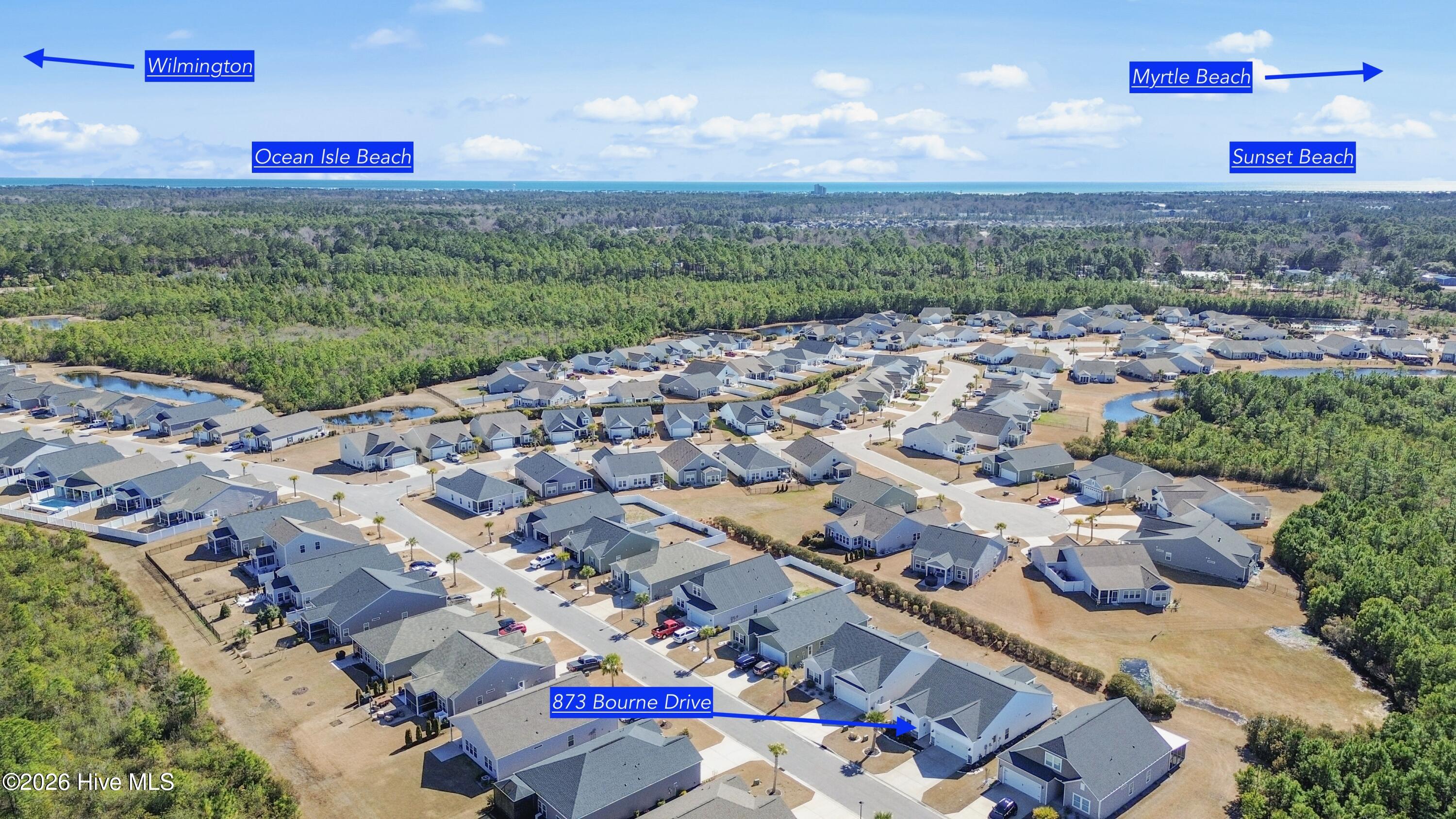 100555351 | Photo 34