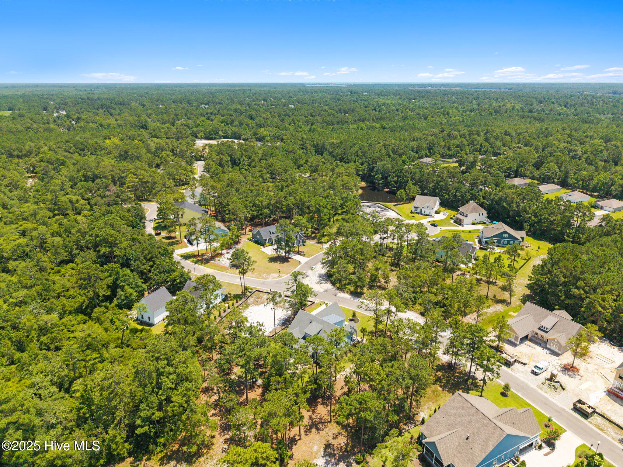 100516887 | Photo 97