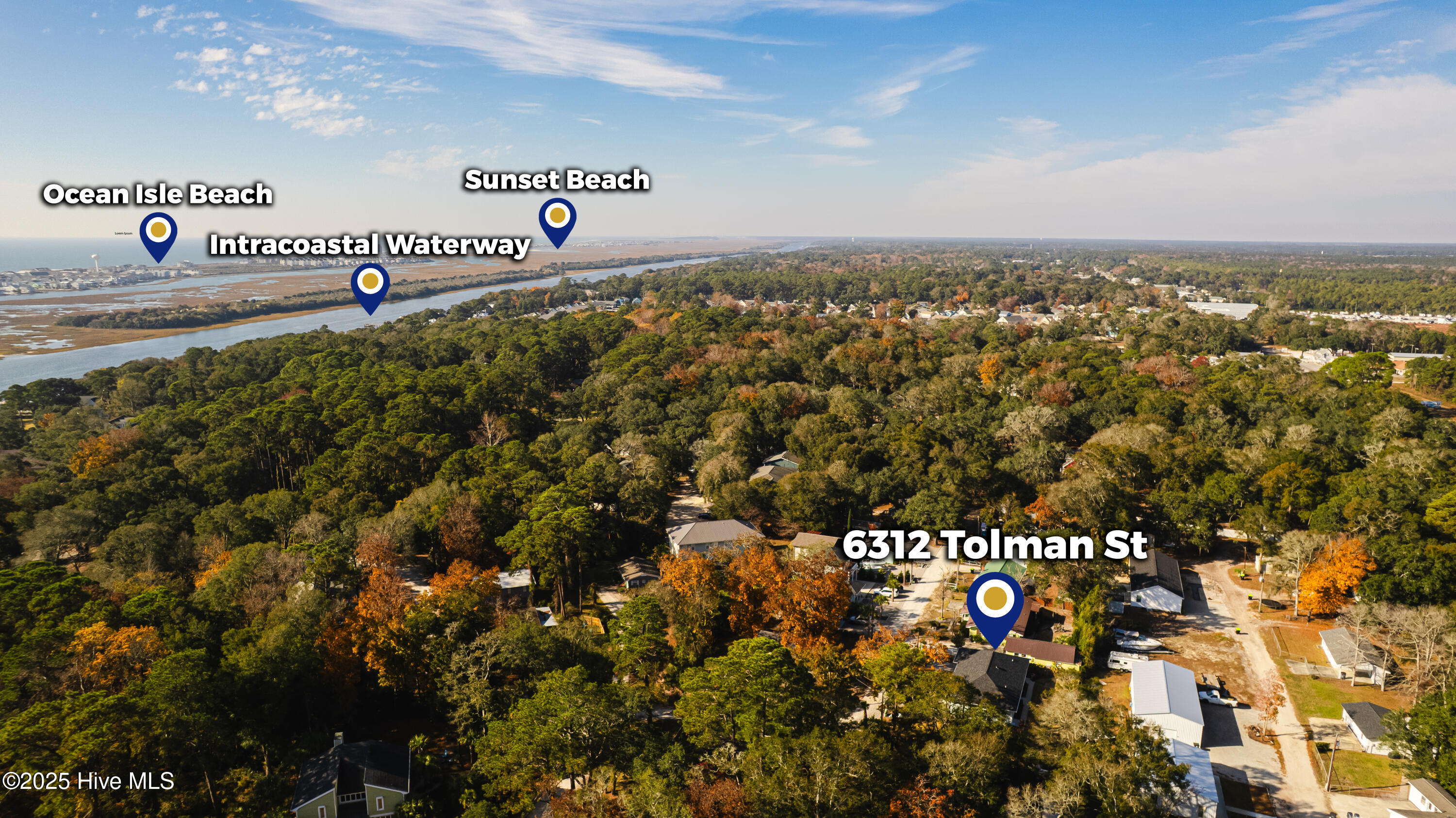 100542637 | Photo 49