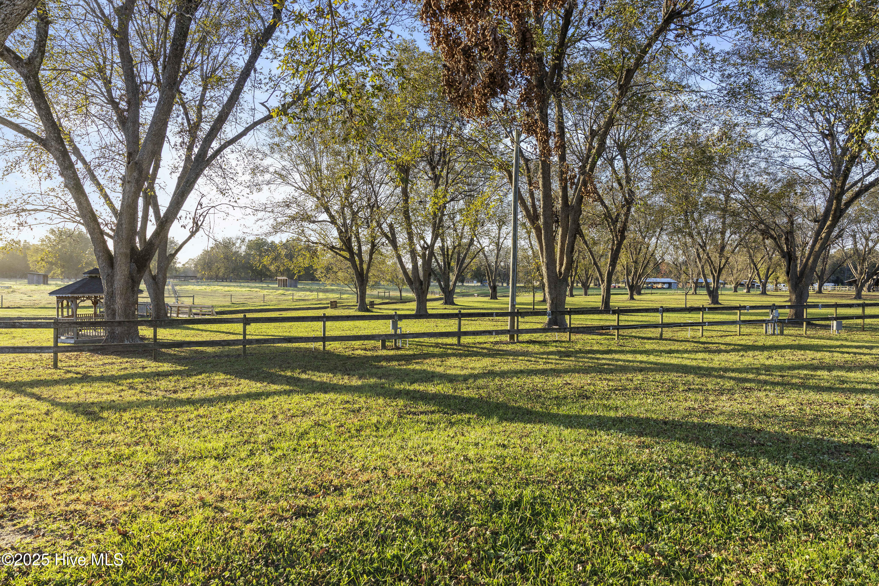 100538504 | Photo 52