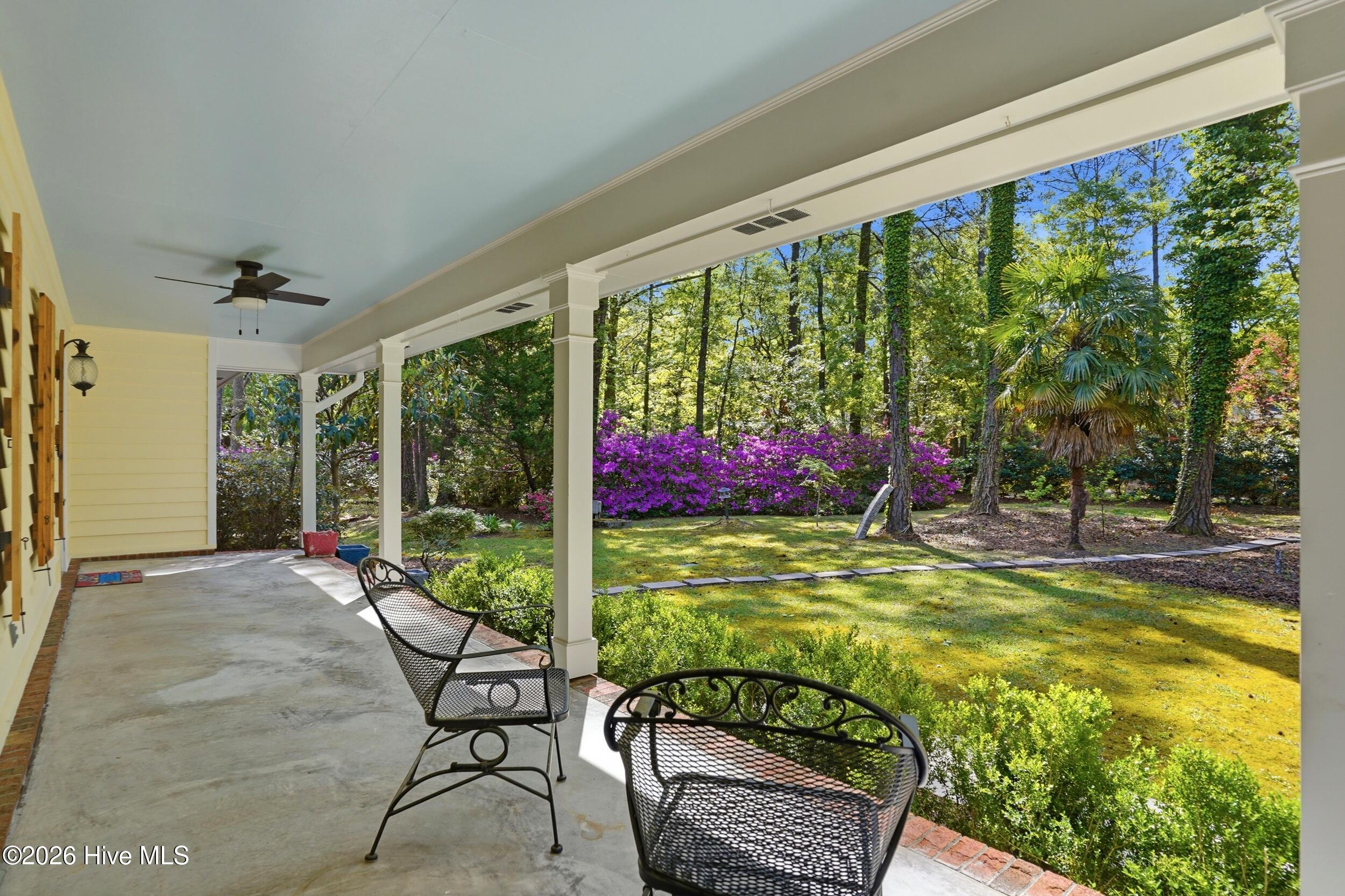 100570431 | Photo 10