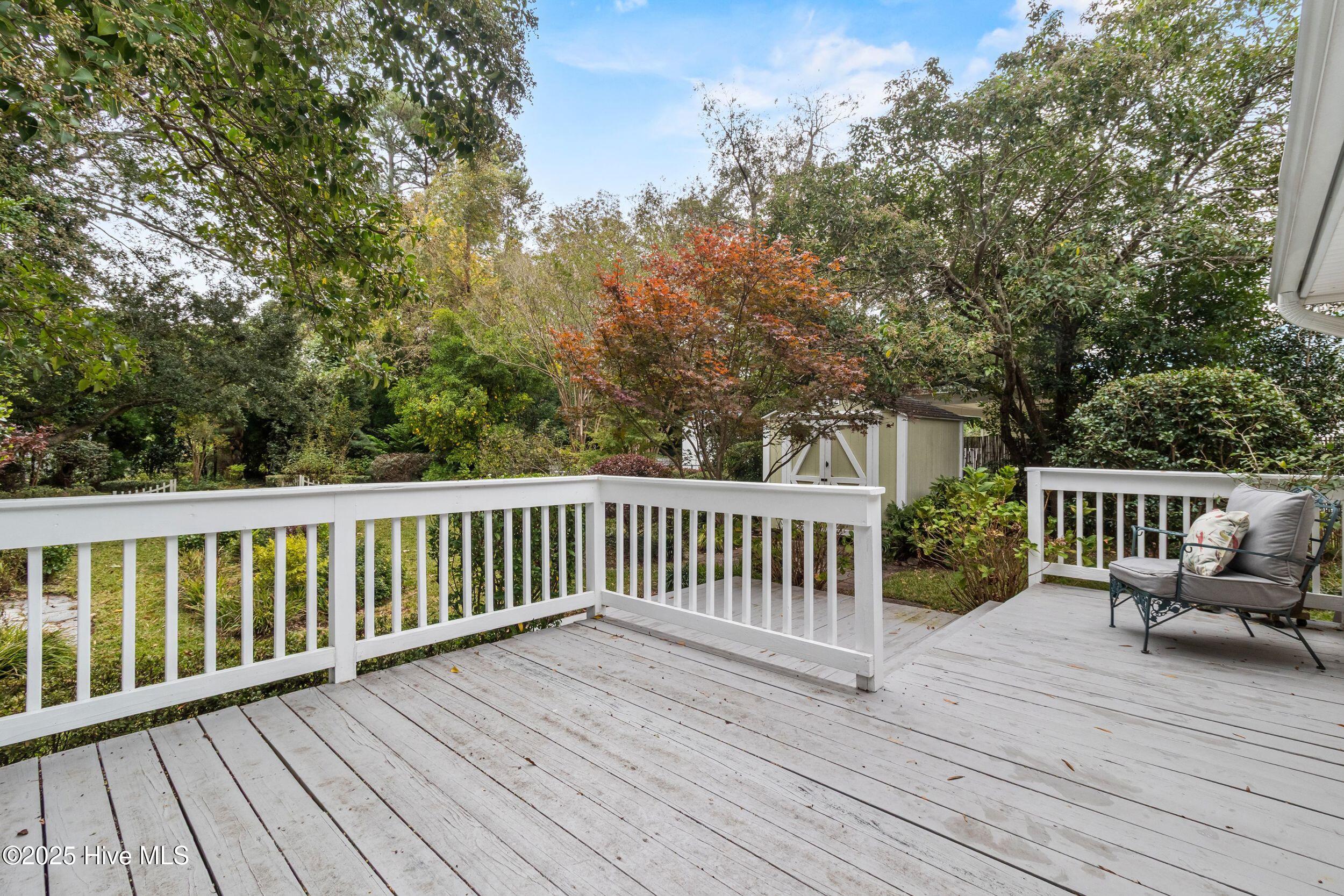 100538519 | Photo 19