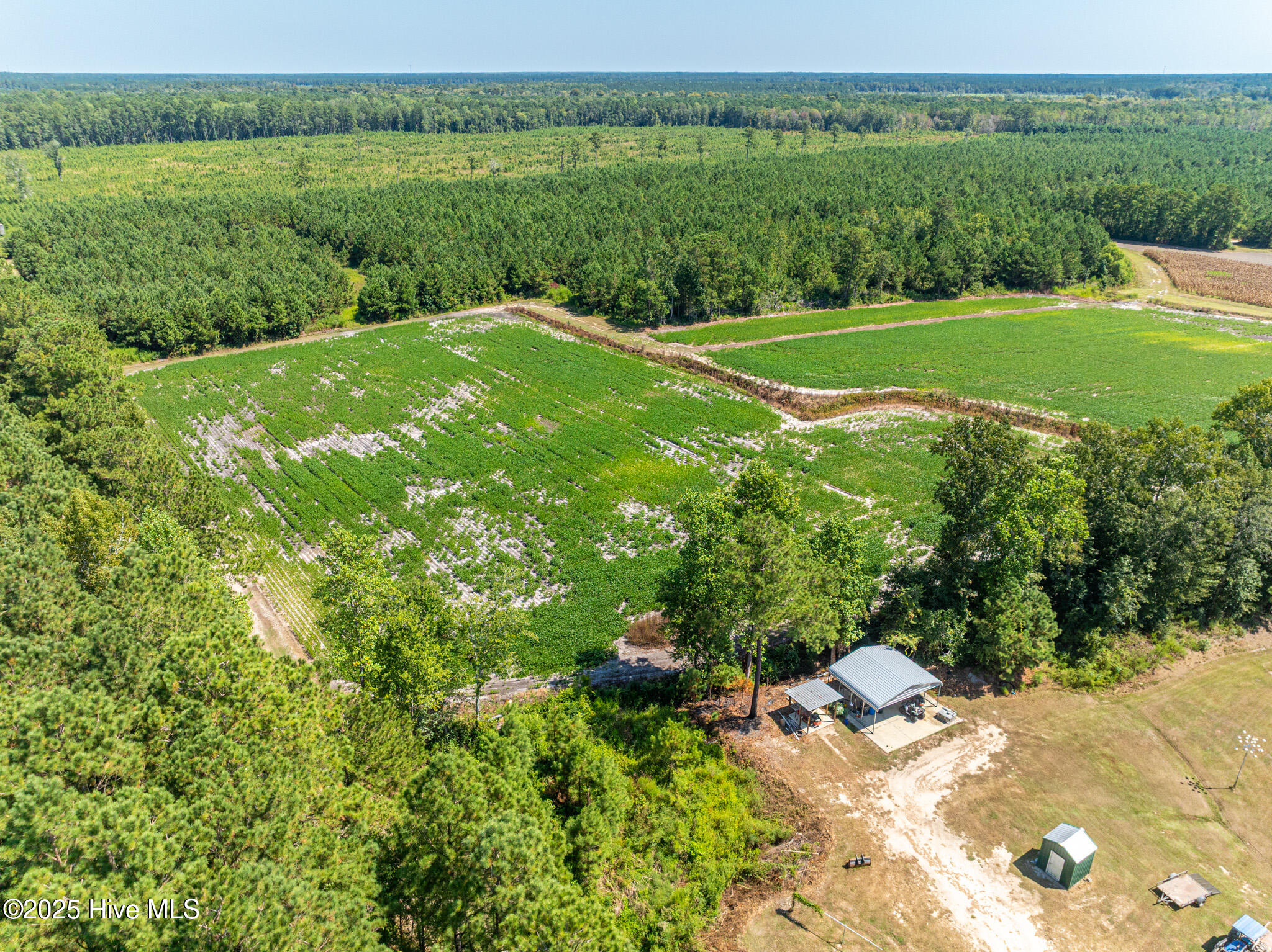 000 Butler Town Road, Clarendon, NC, 28432